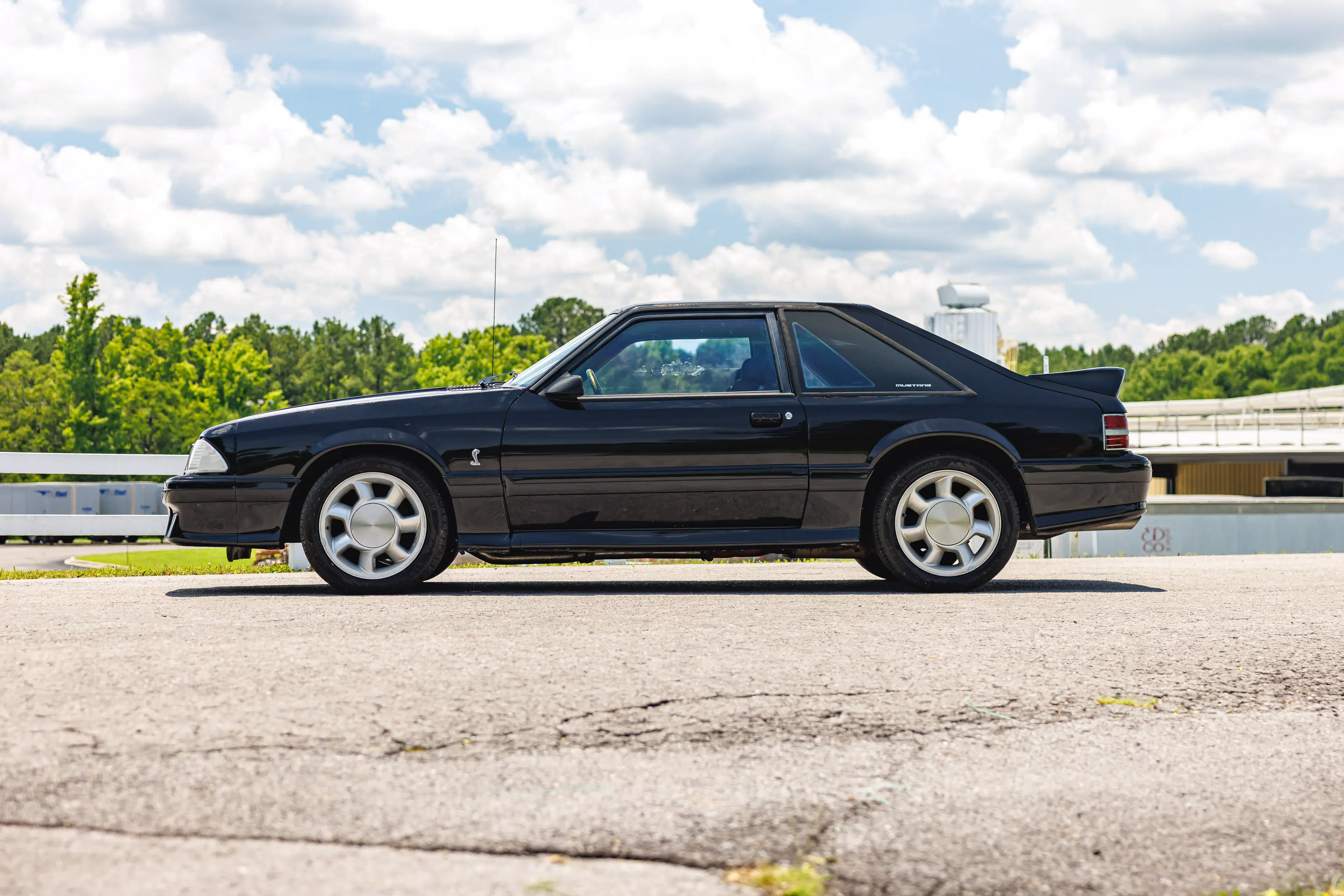 Gallery photo 2