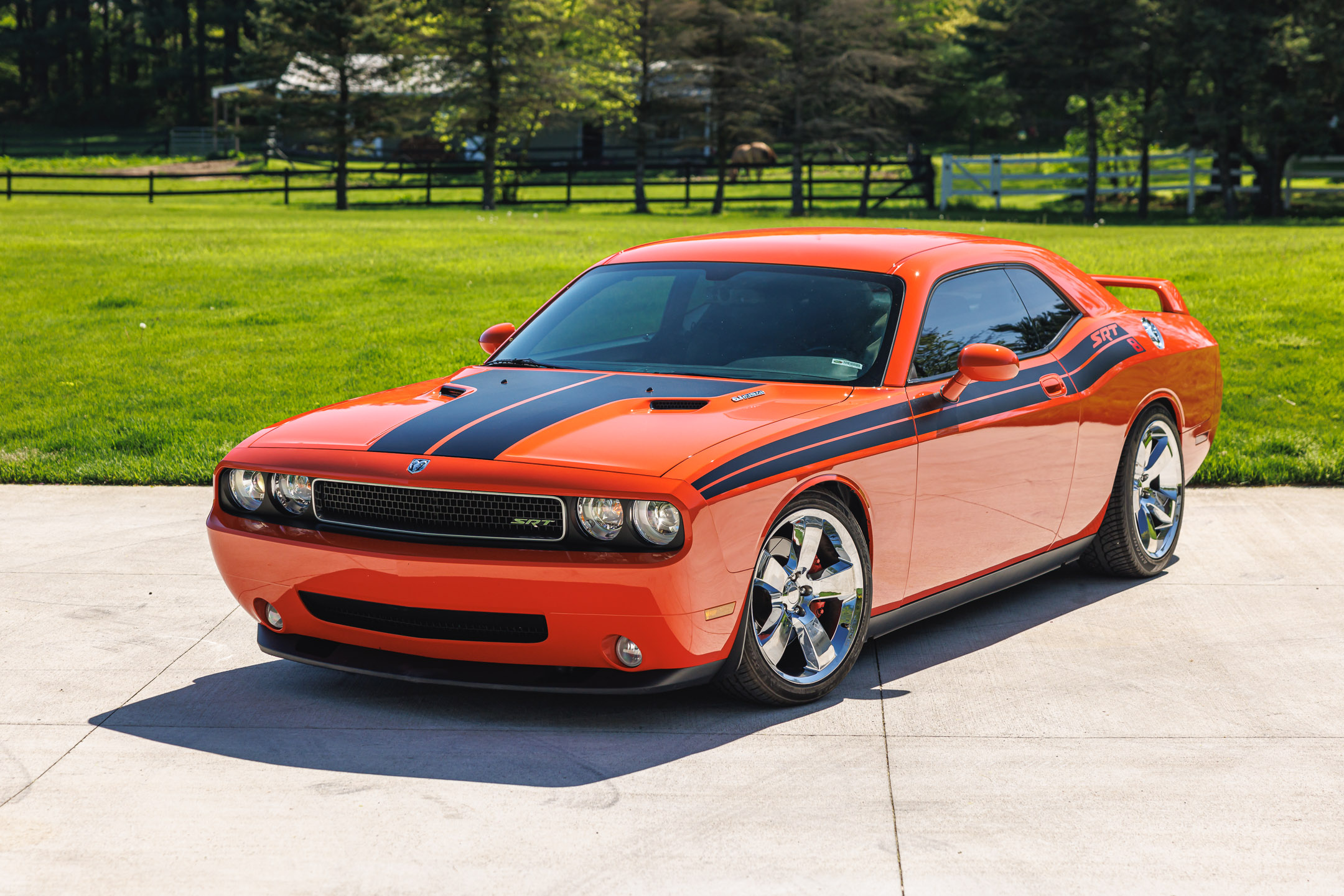 Gallery photo 2