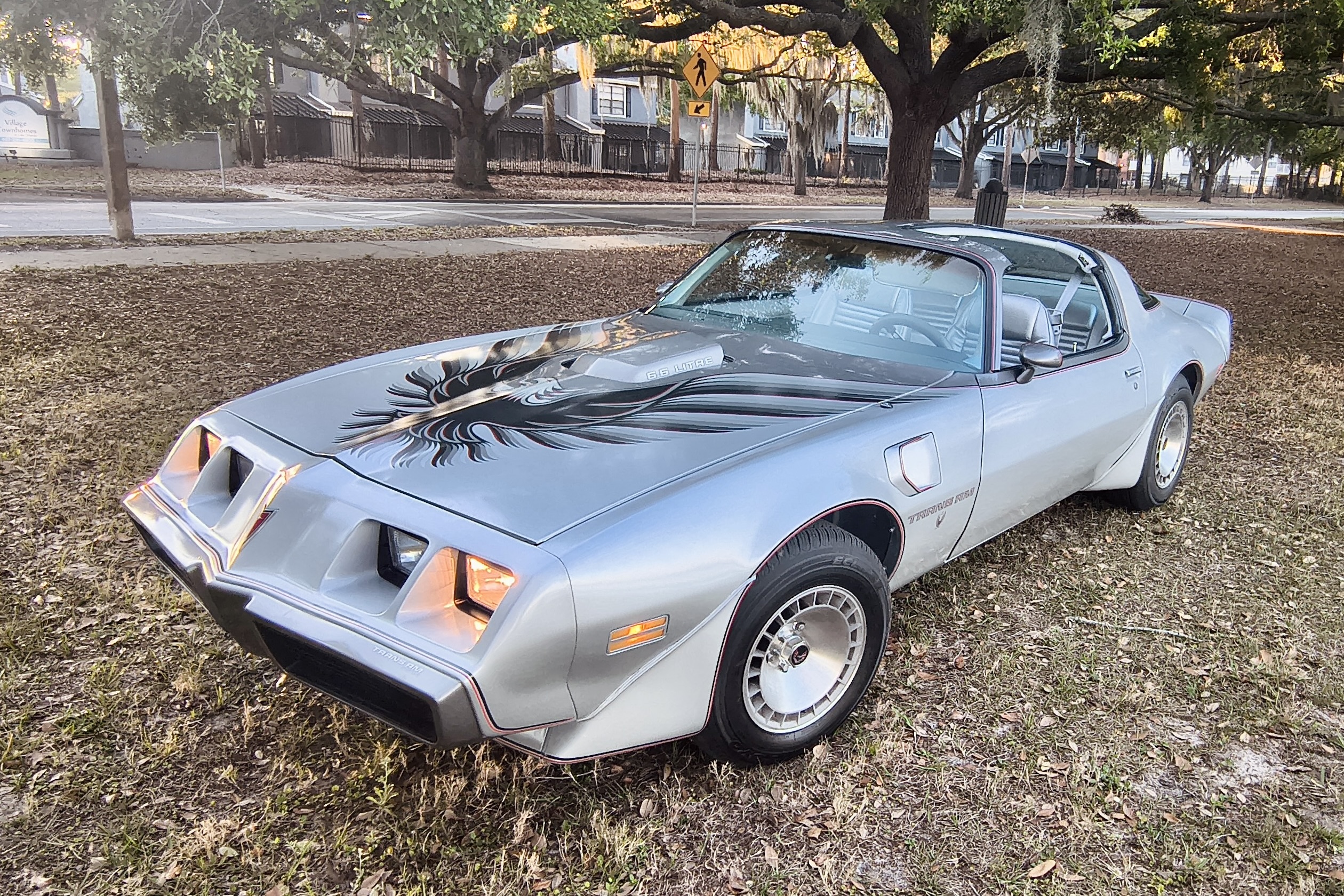 1979 Pontiac Firebird Trans Am 10th Anniversary