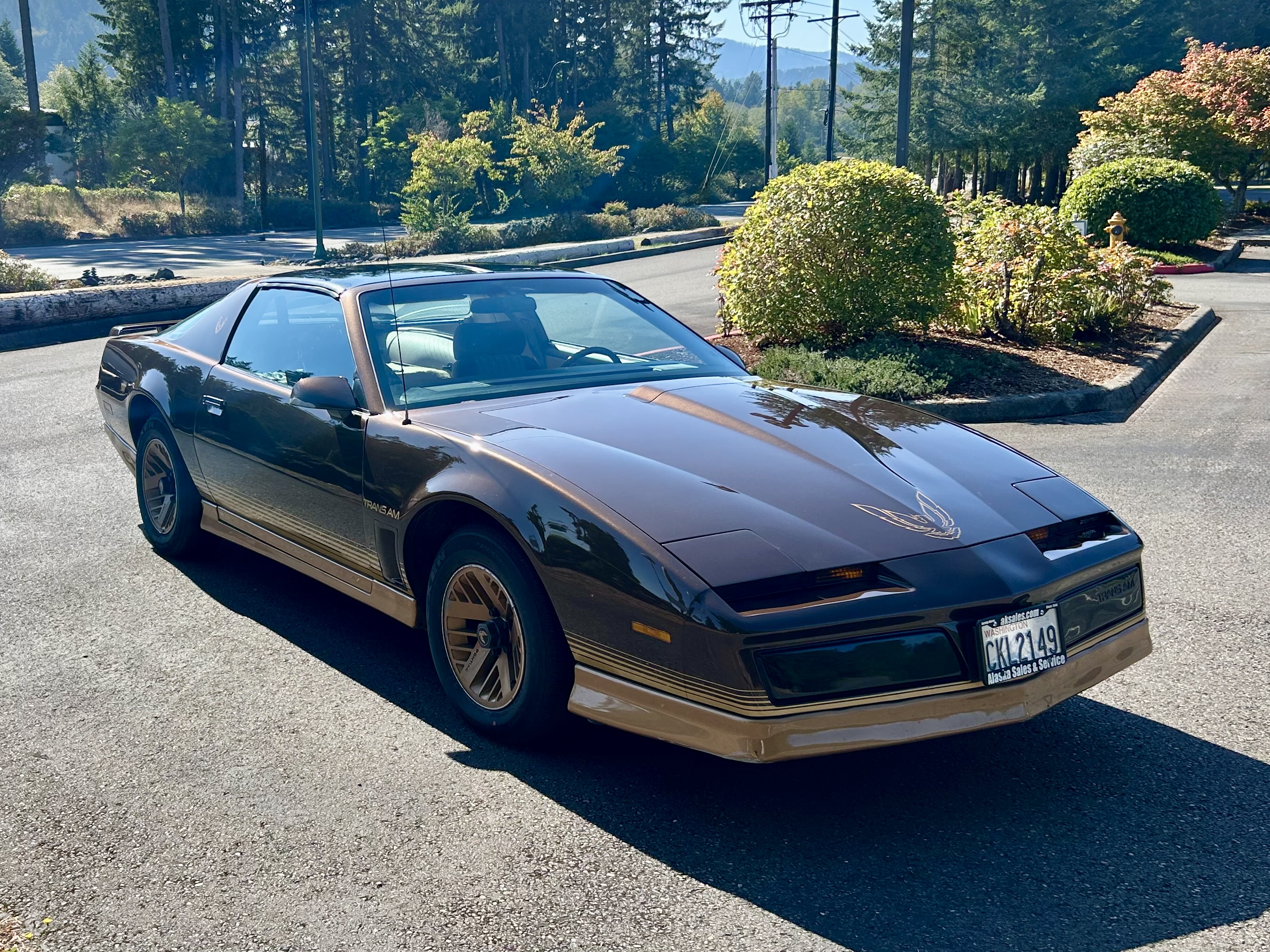 One-Family-Owned 1984 Pontiac Firebird Trans Am