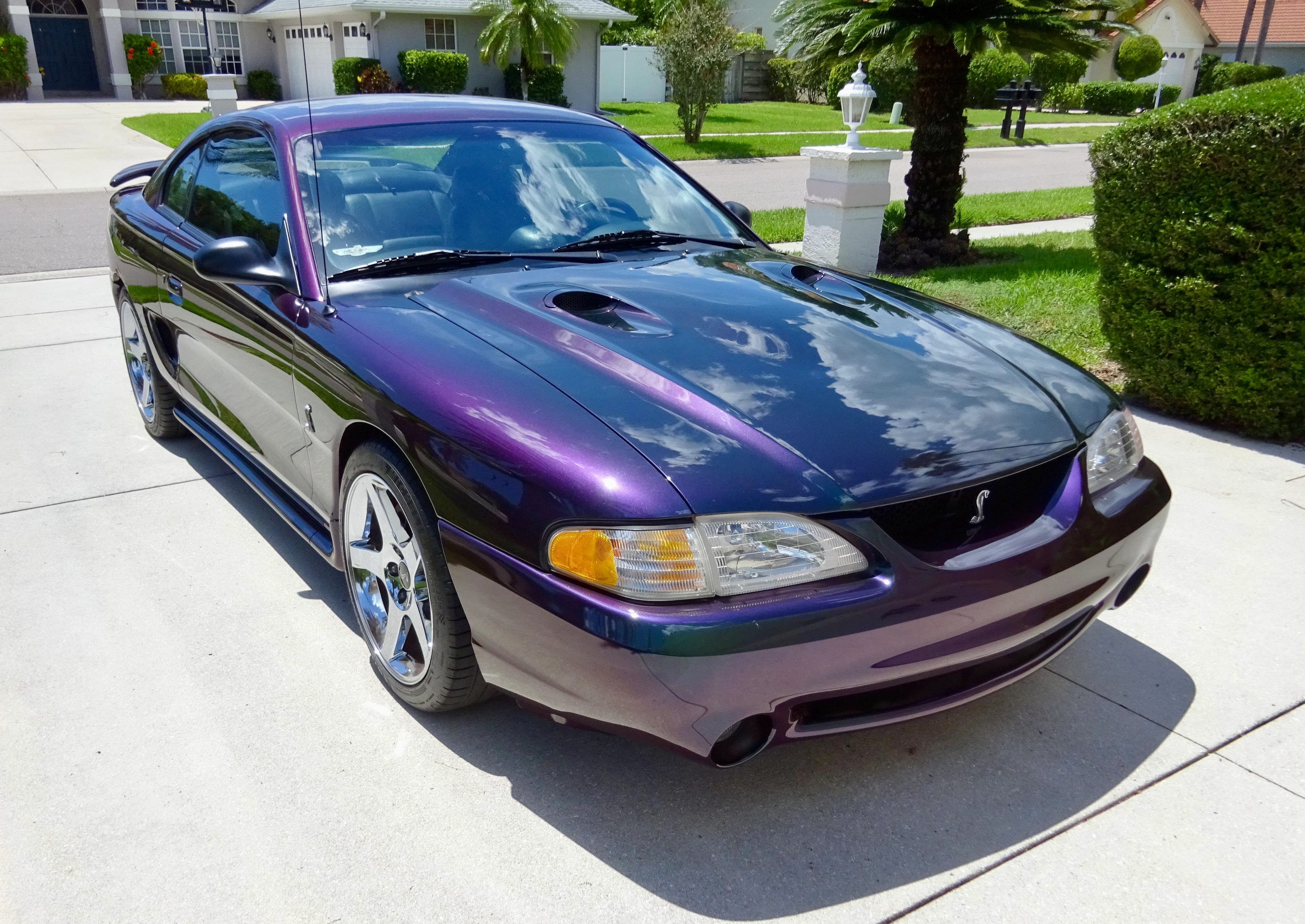 31k-Mile Supercharged 1996 Ford Mustang SVT Cobra Mystic Coupe