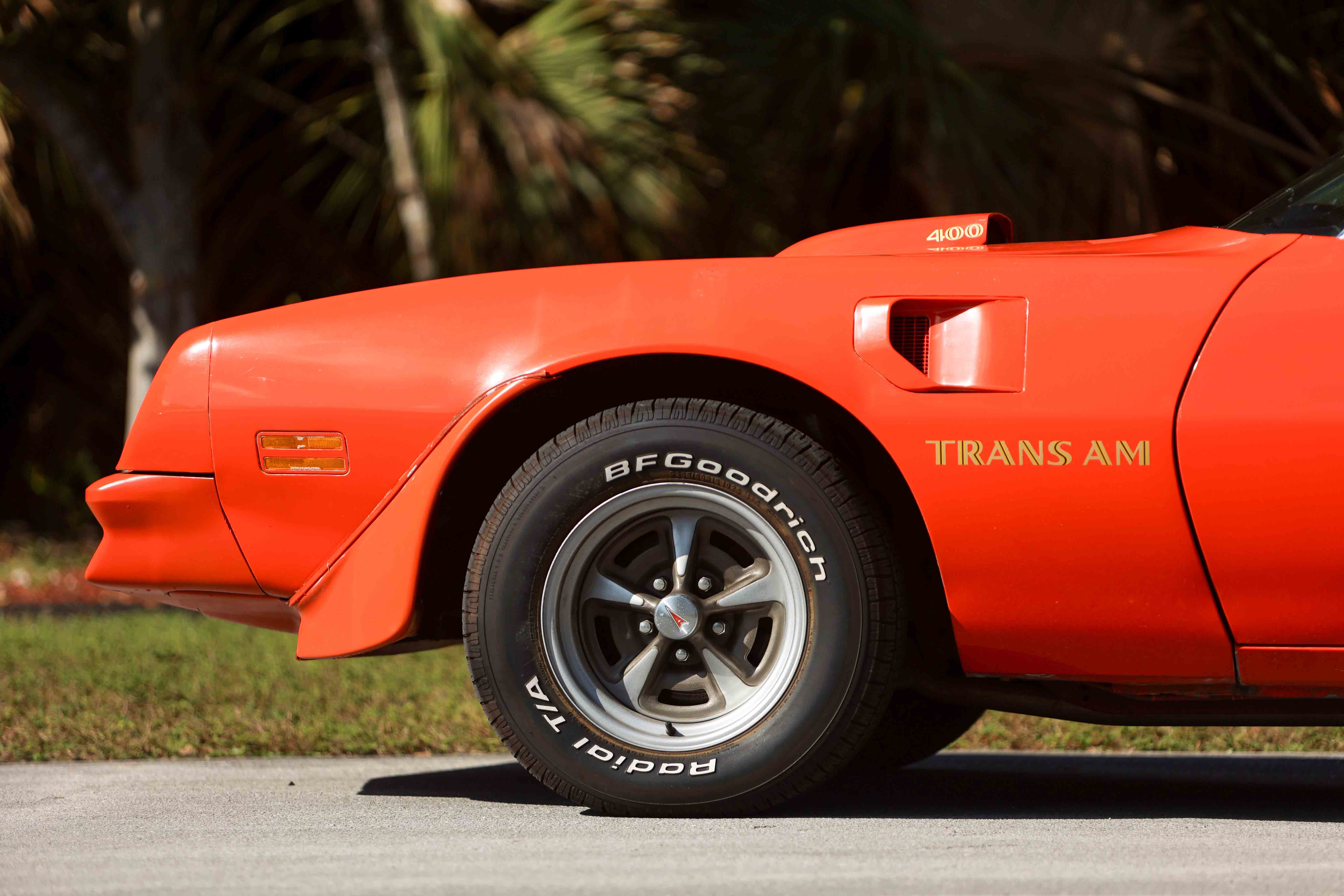 1976 Pontiac Firebird Trans Am for sale