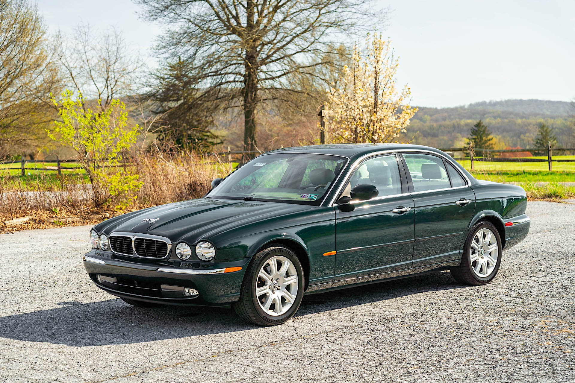 Gallery photo 4