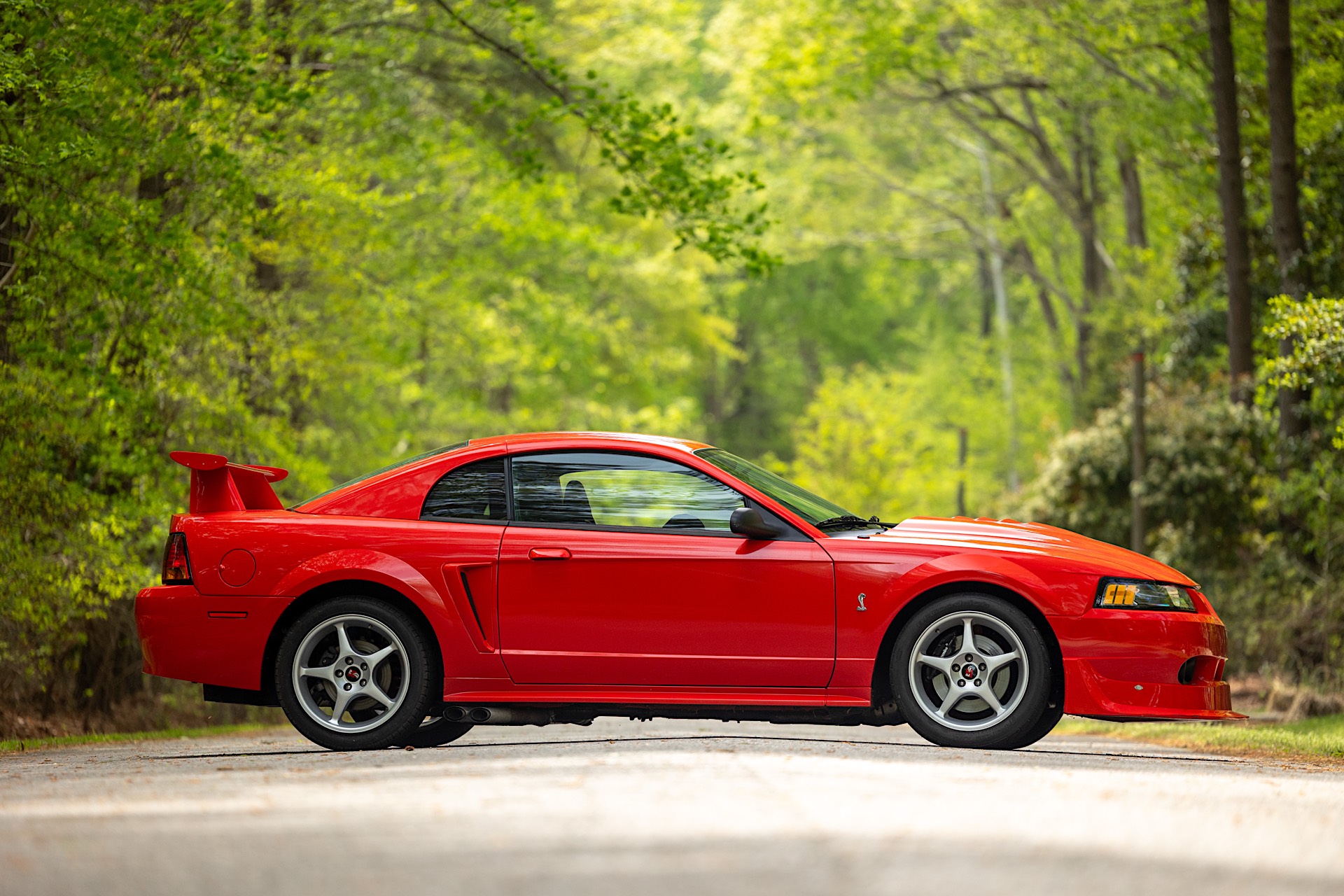 Gallery photo 6