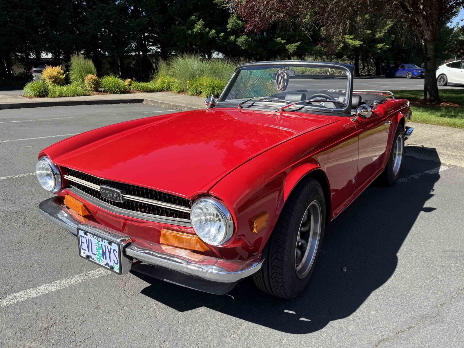 1973 Triumph TR6