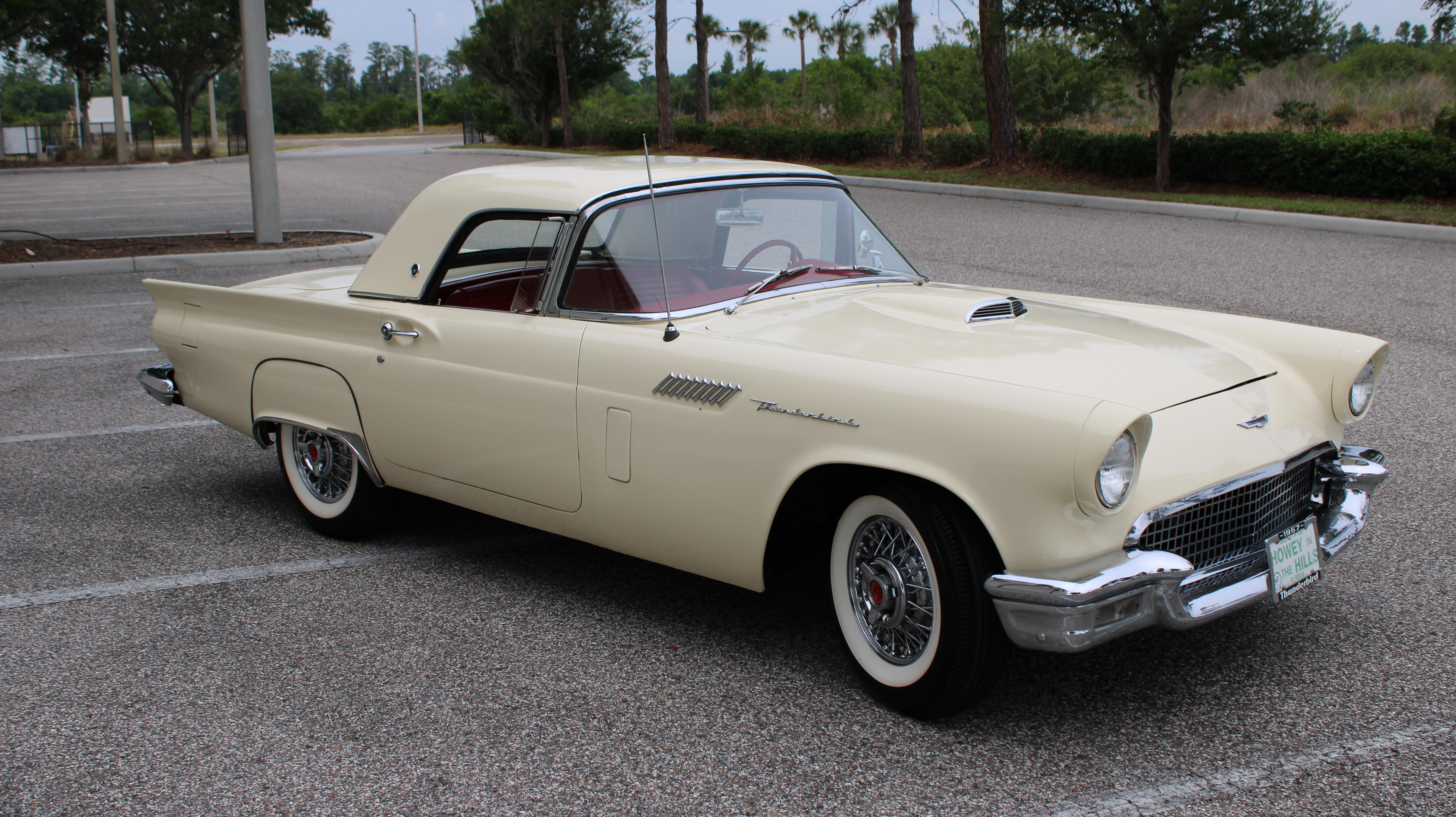 Gallery photo 3