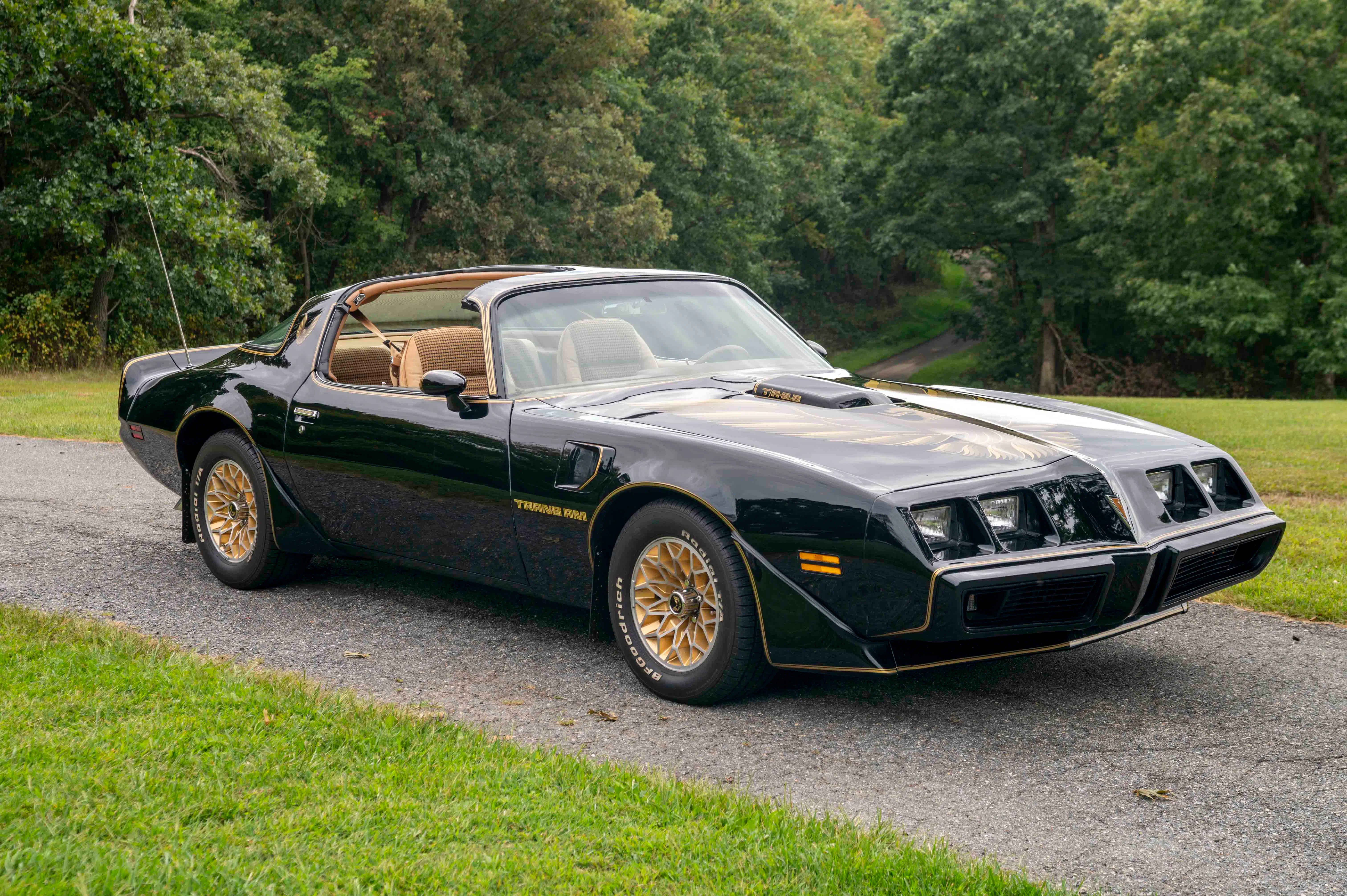 1979 Pontiac Trans Am Special Edition 