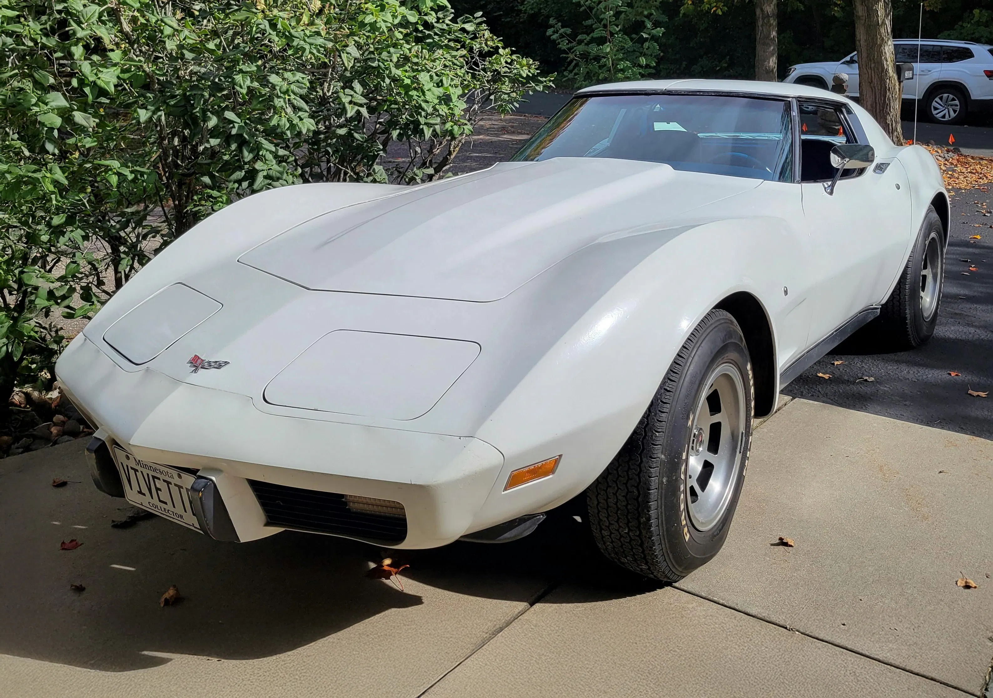 1977 Chevrolet Corvette Project