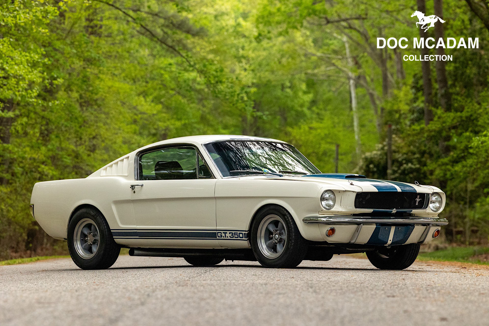 1965 Shelby Mustang GT350