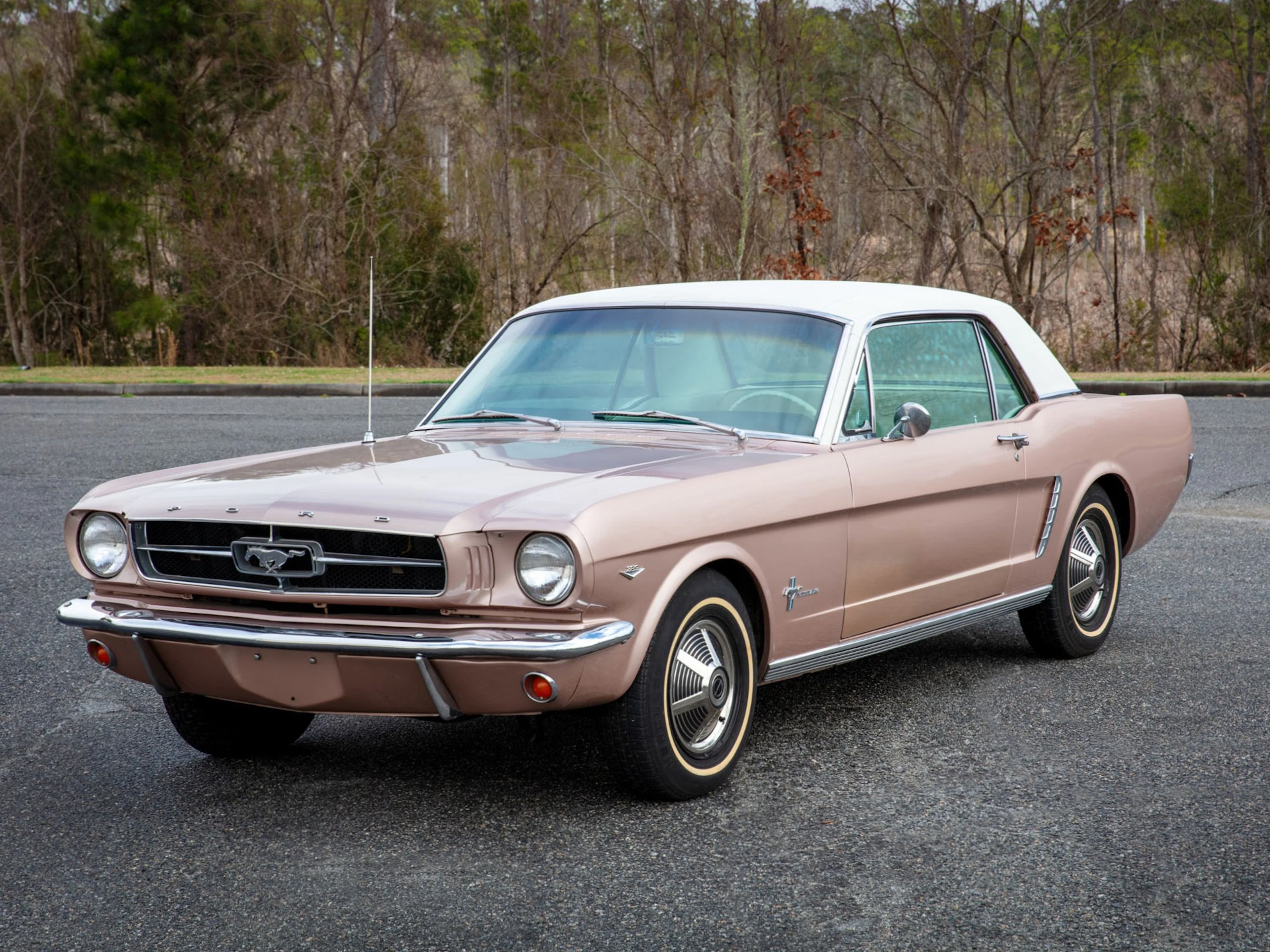 Special-Order 1965 Ford Mustang Hardtop