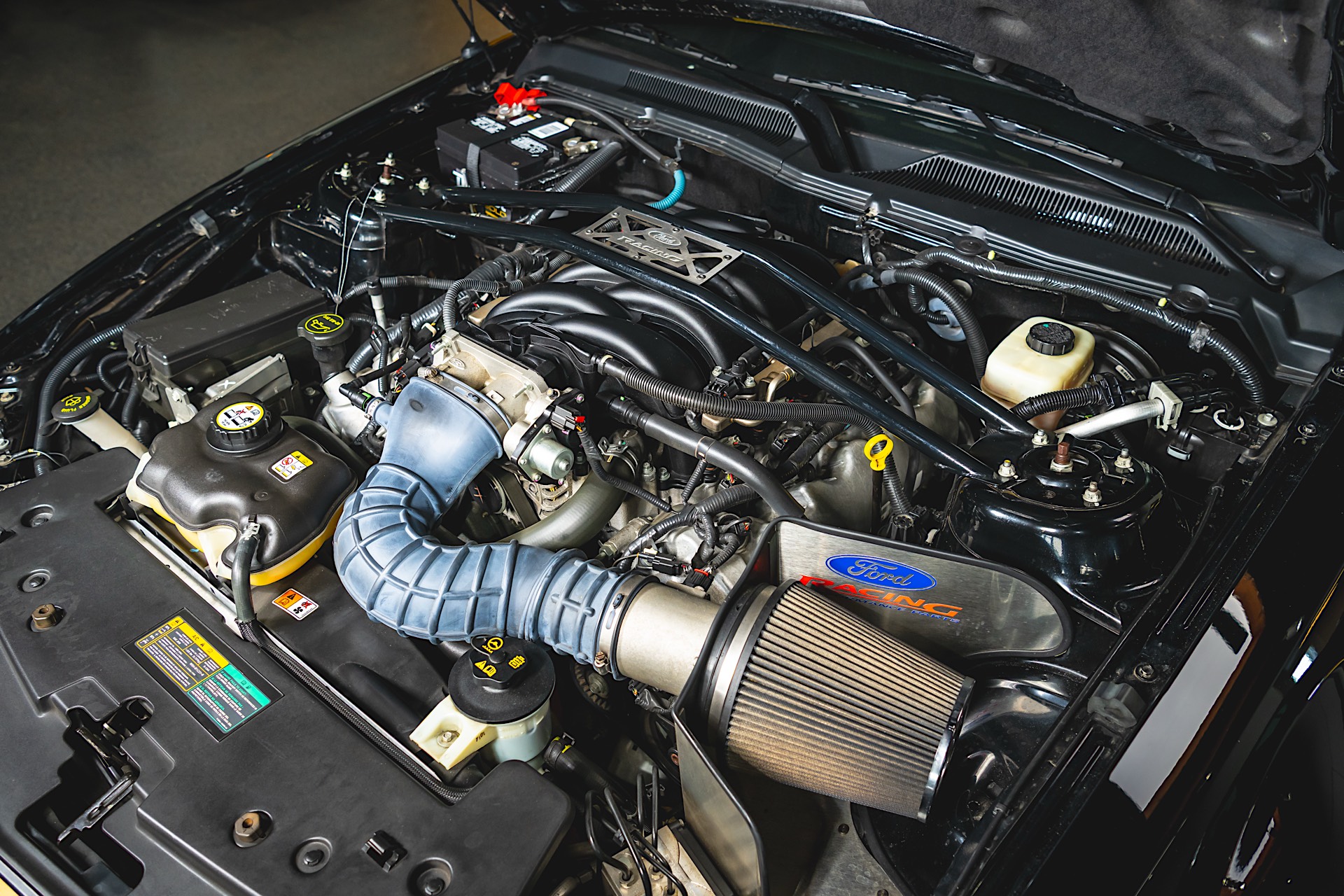 ShelbyGTH2175235of309R