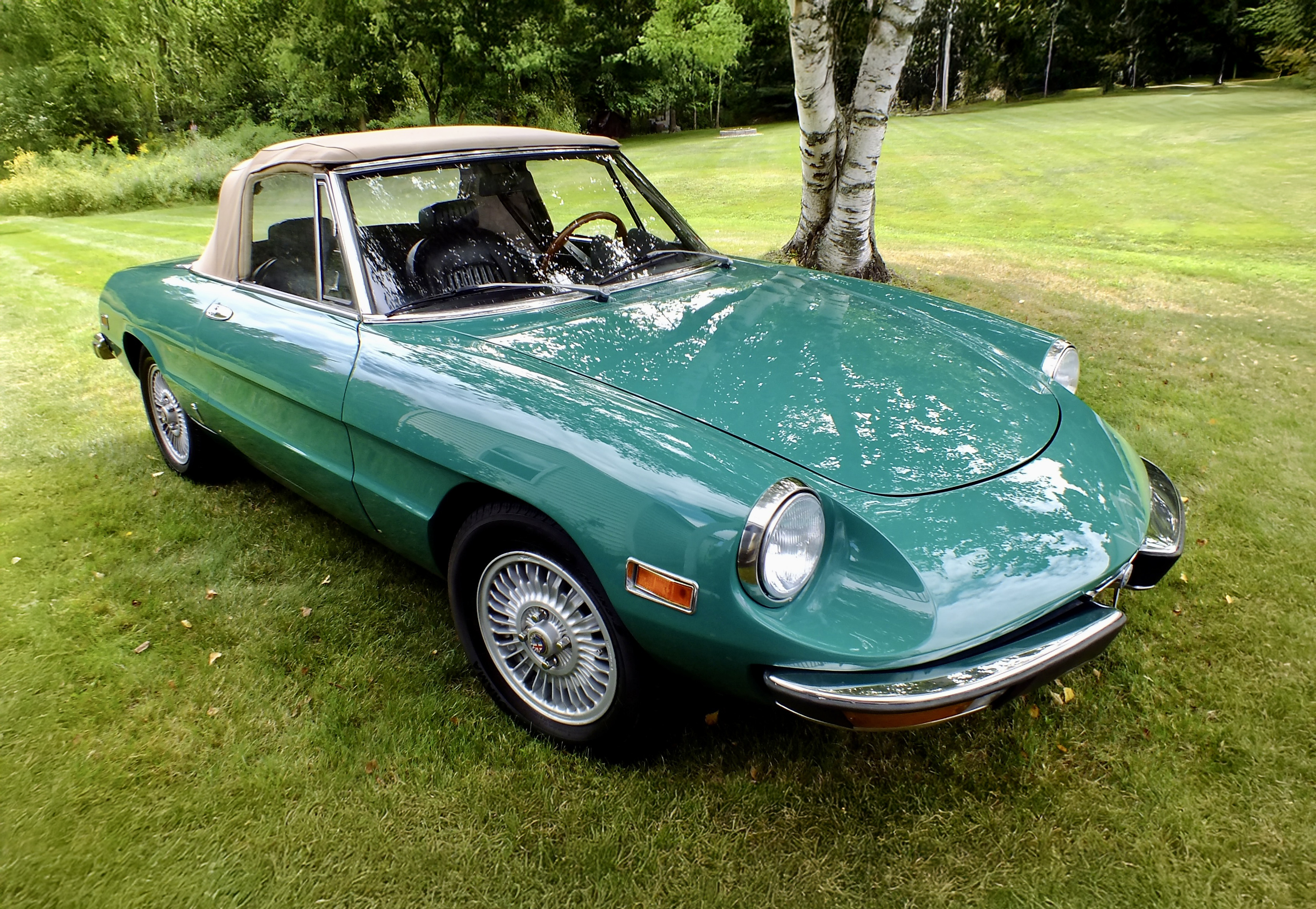 1973 Alfa Romeo 2000 Spider Veloce