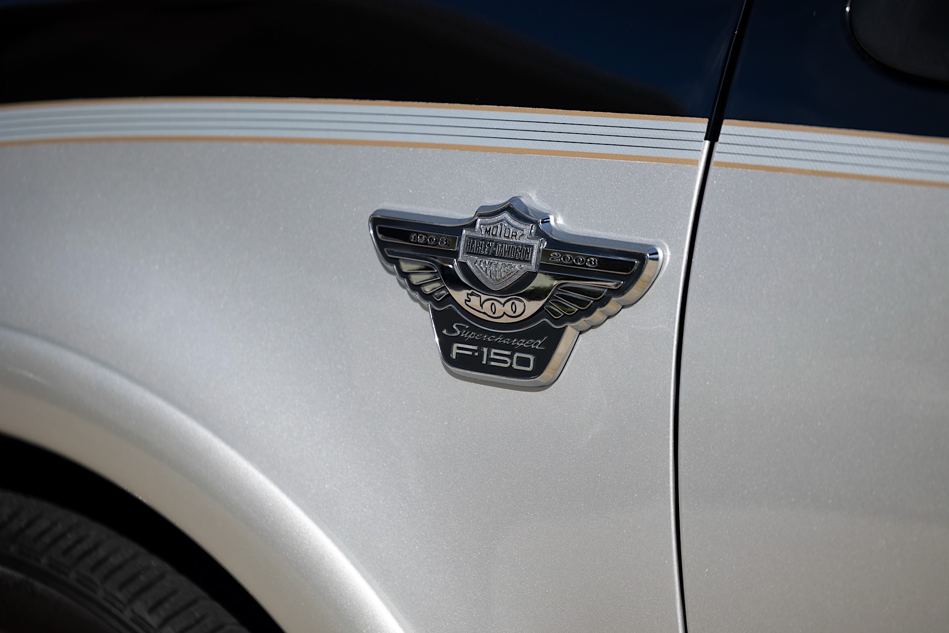 HarleyDavidsonF150RM62919R