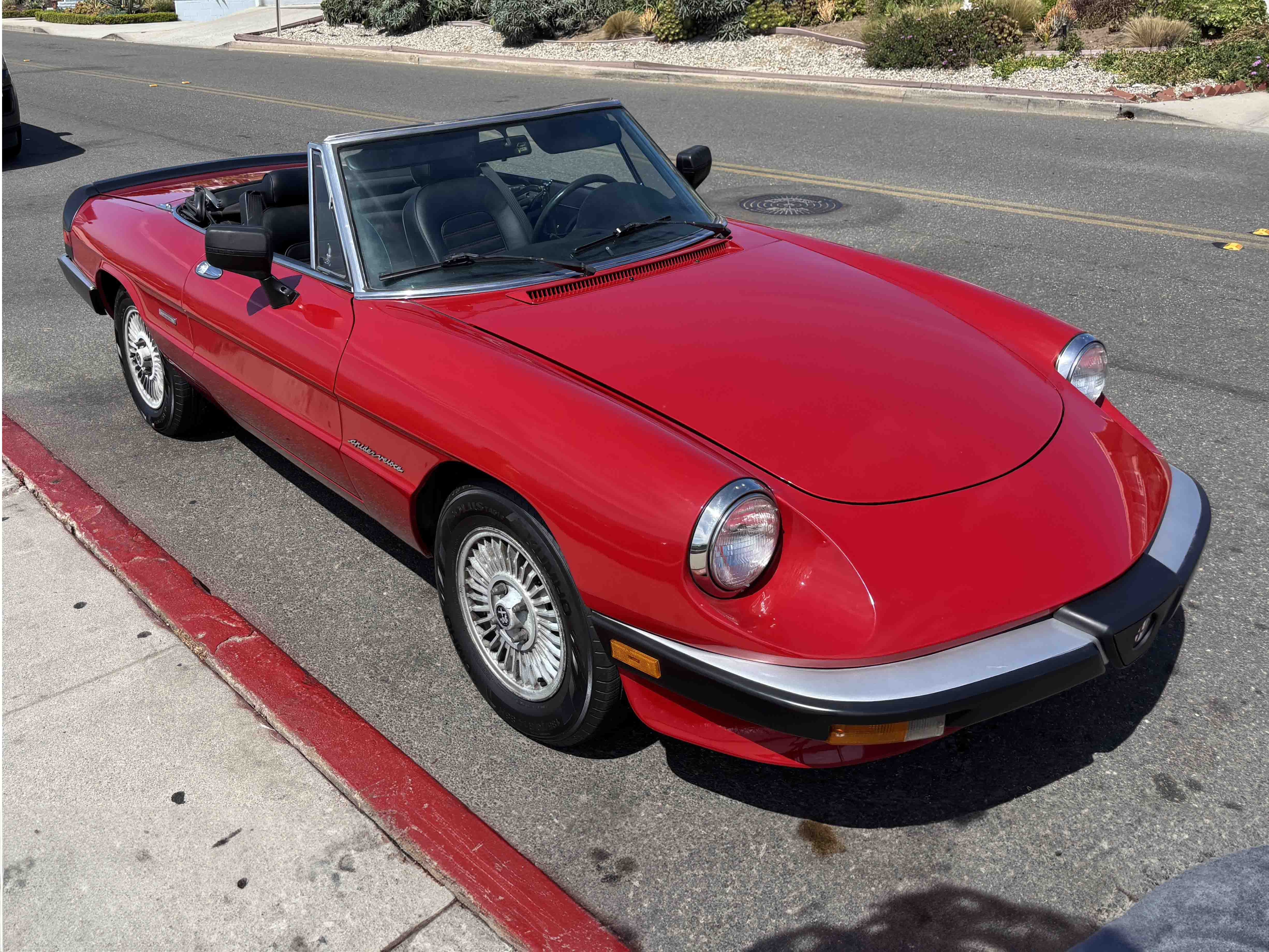 21-Years-Owned 1986 Alfa Romeo Spider