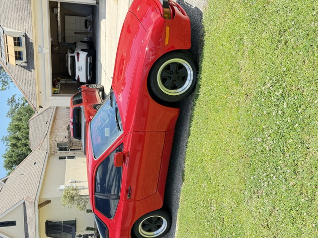 Gallery photo 6