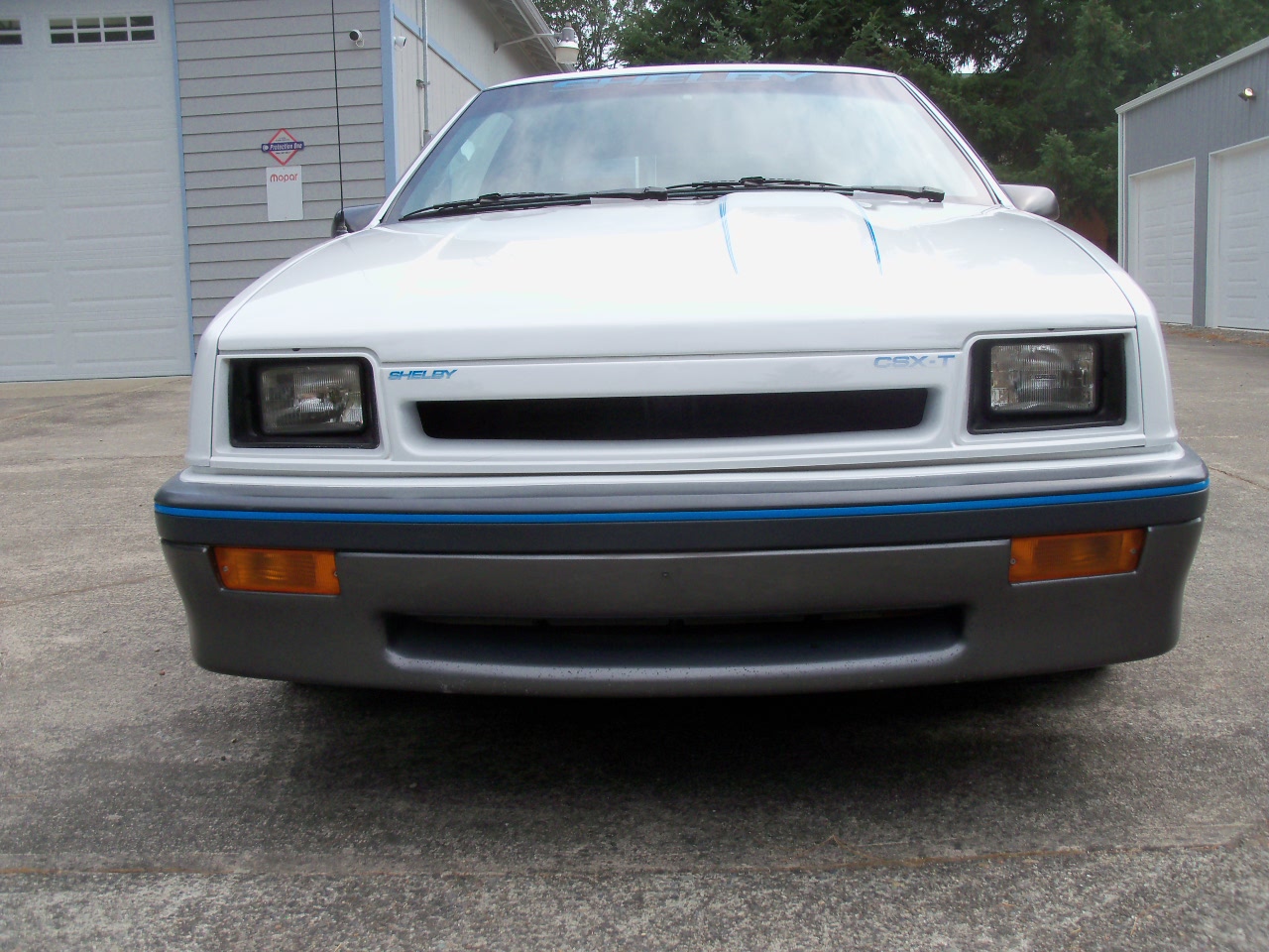 Gallery photo 2