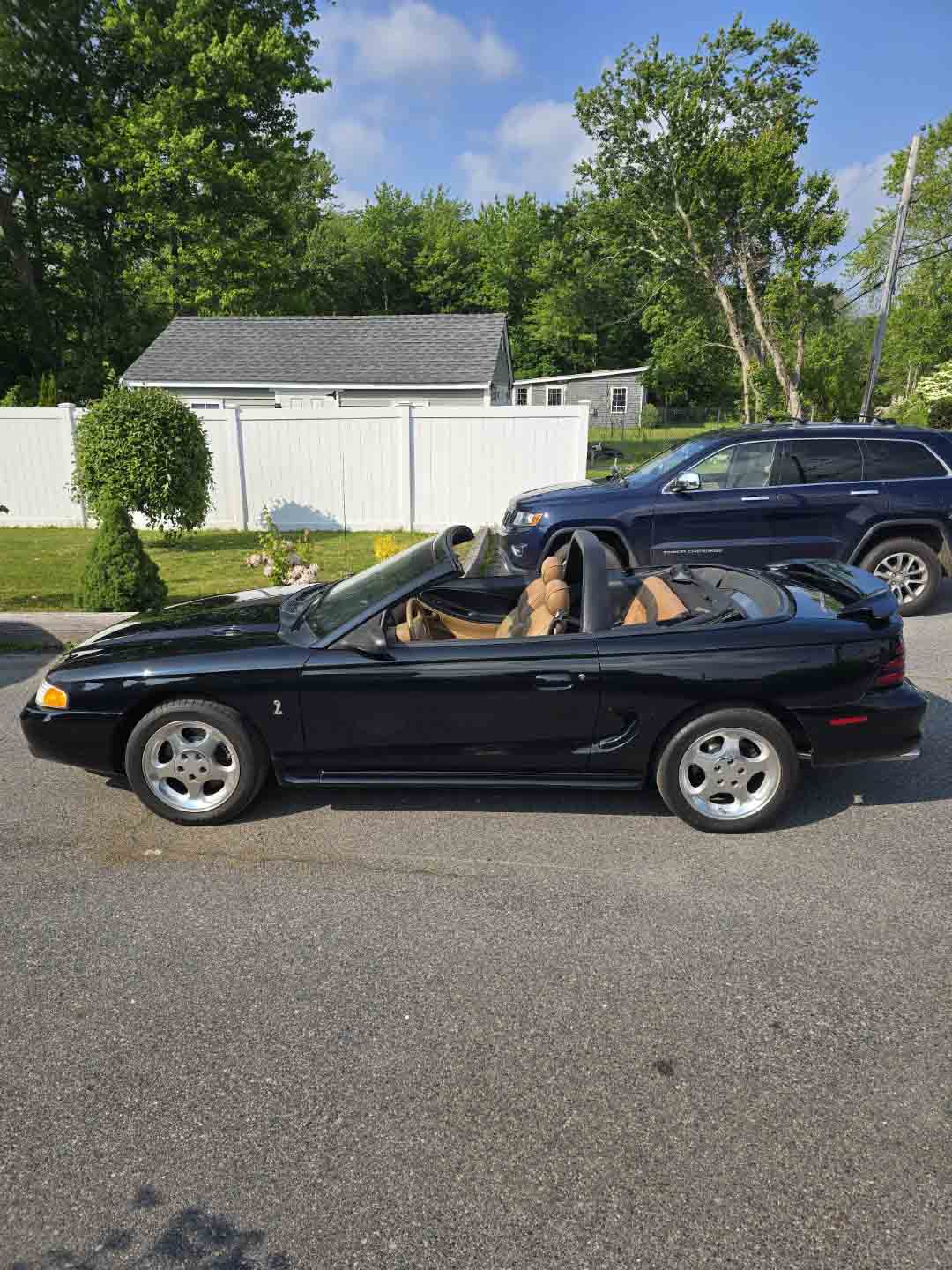 Gallery photo 5