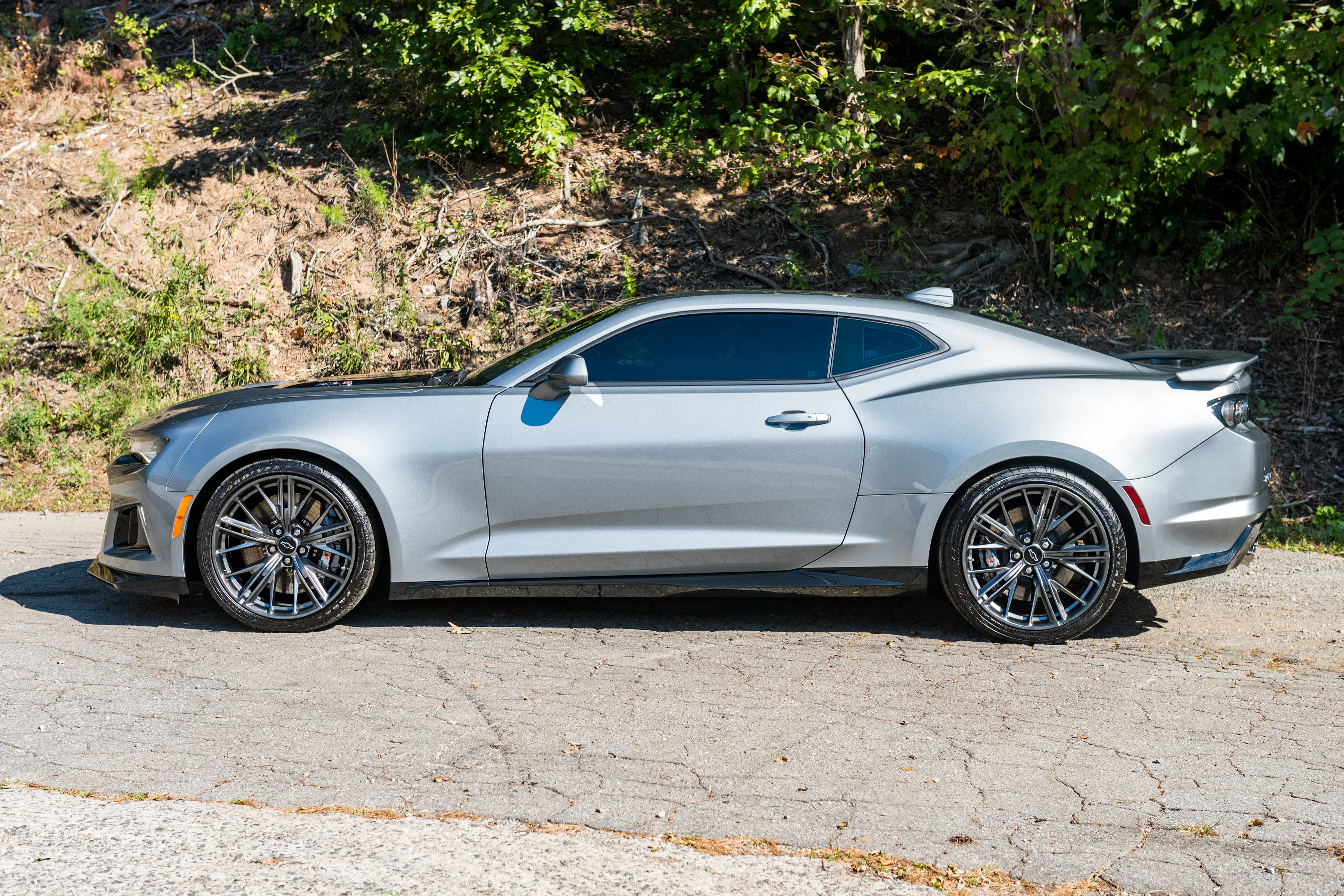 Gallery photo 2