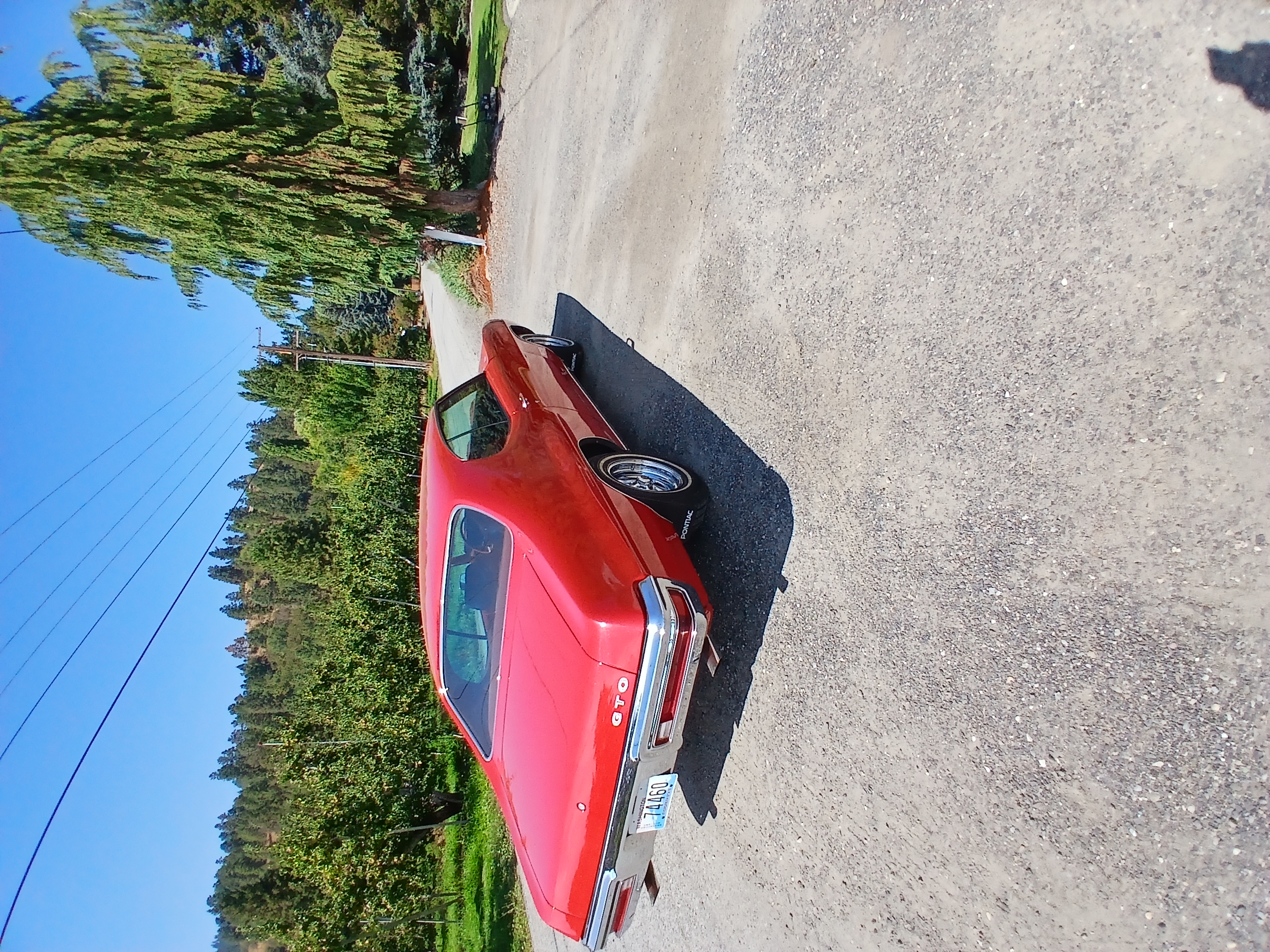 Gallery photo 5