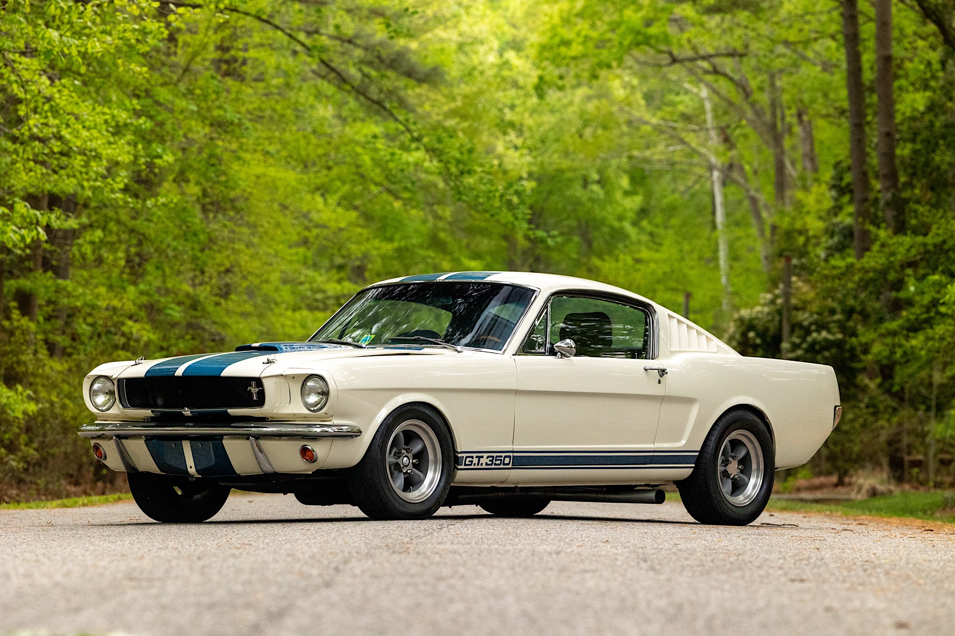 マックビー　ペット 1965 Shelby Mustang GT350 for sale | Hagerty Marketplace