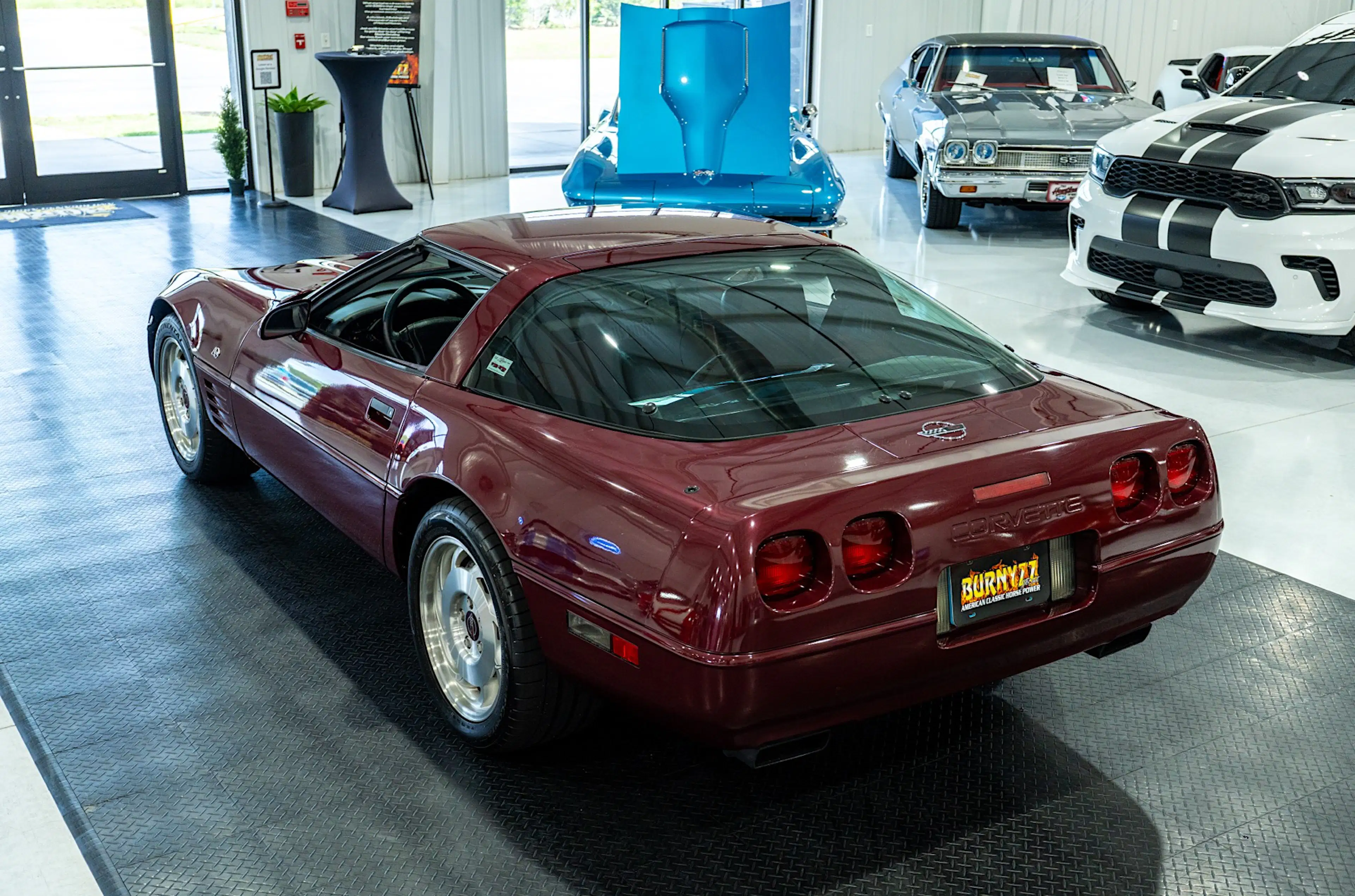 Gallery photo 6