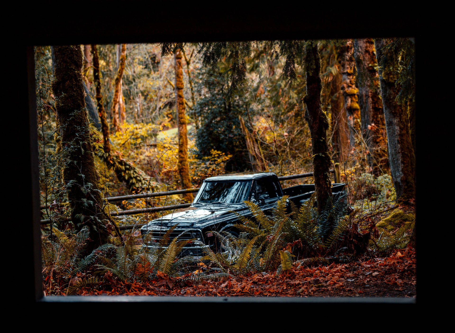 Gallery photo 4