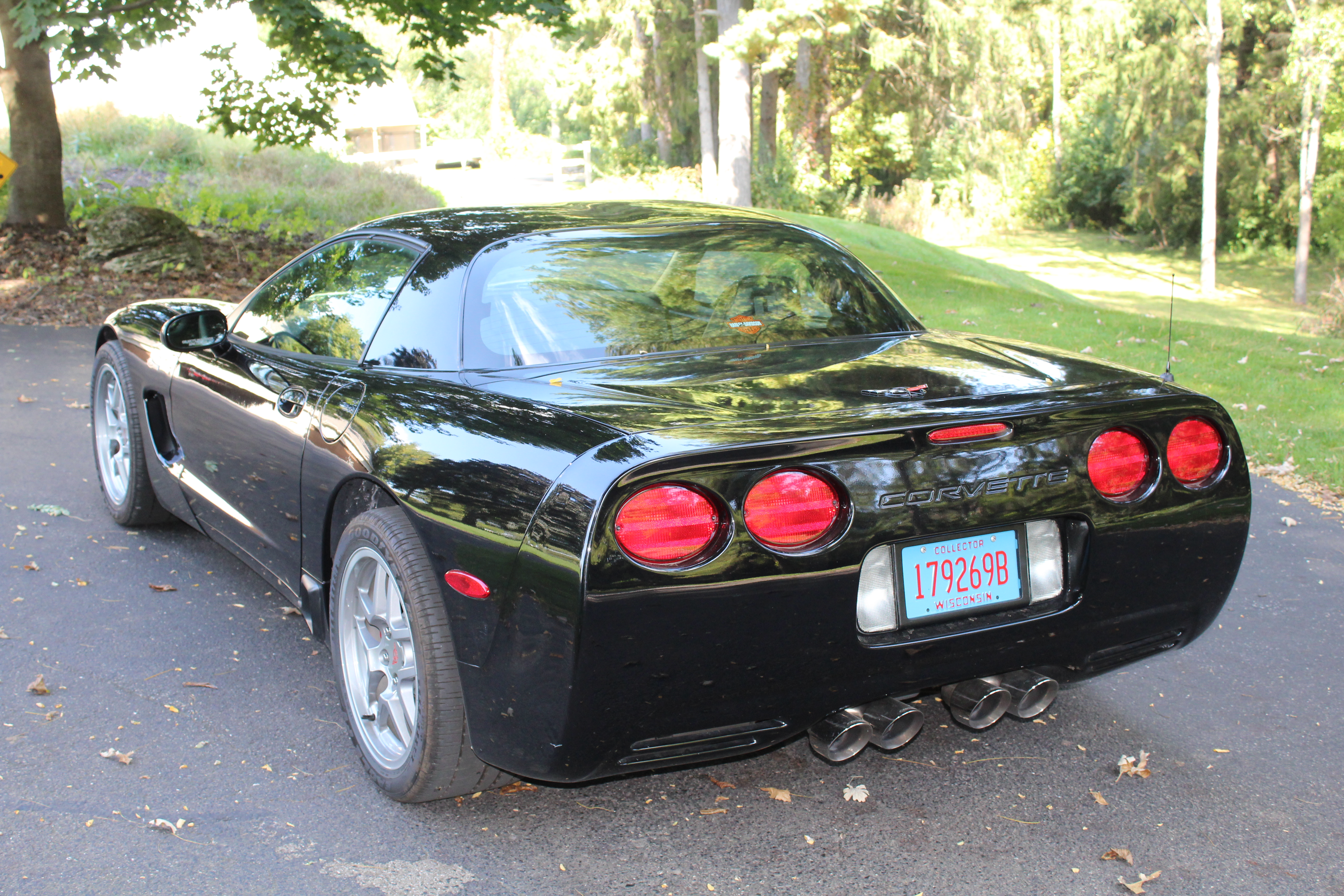 Gallery photo 5
