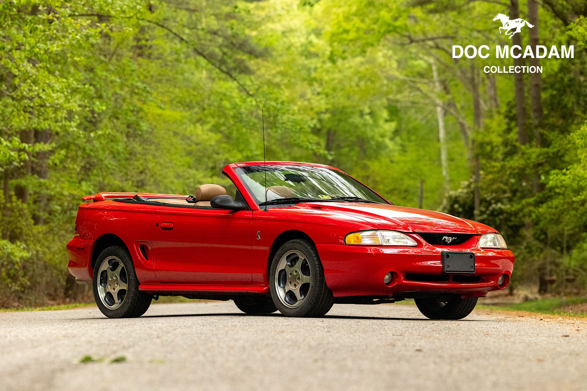 1994 Ford Mustang SVT Cobra Convertible 5-Speed