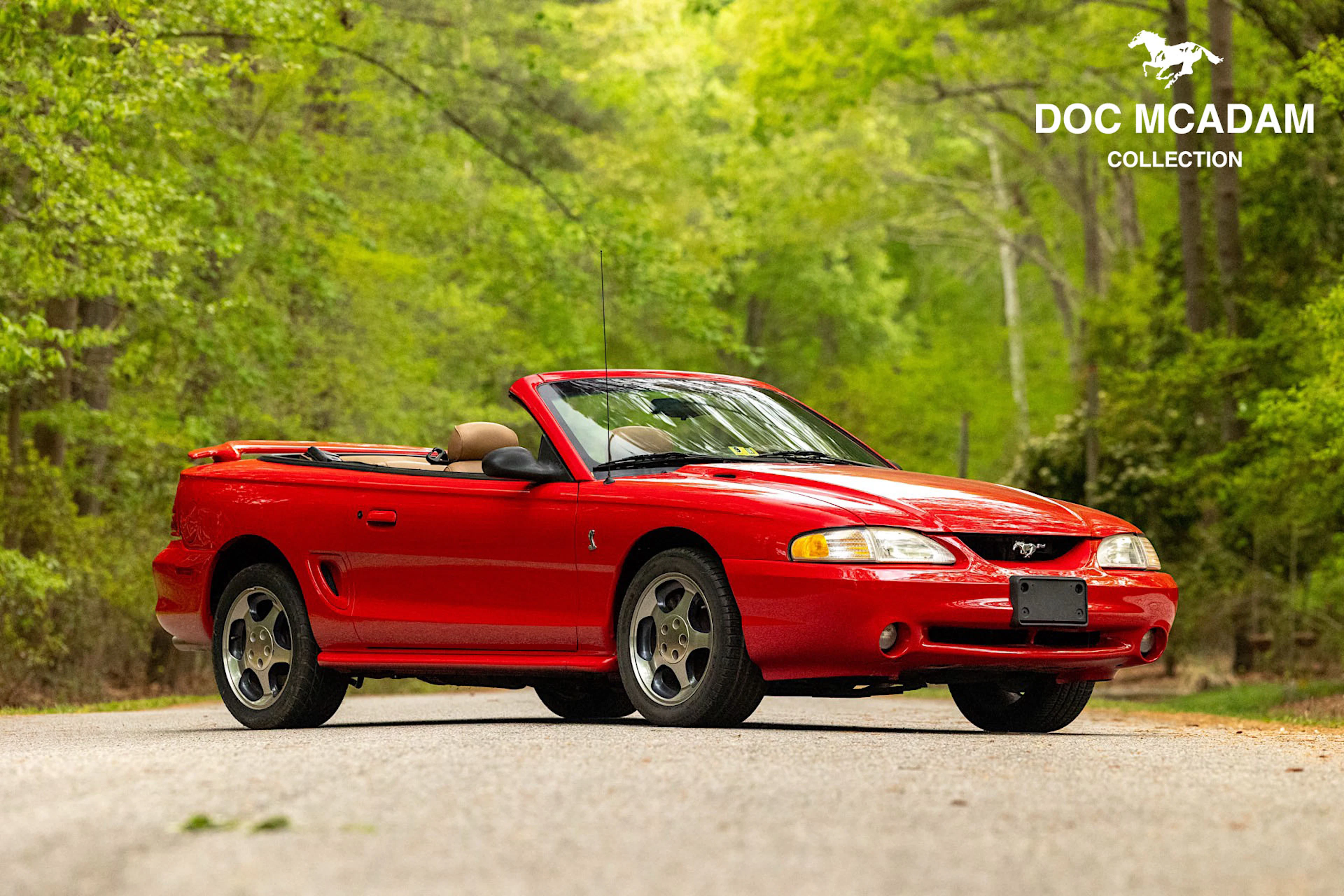1994 Ford Mustang SVT Cobra Convertible 5-Speed