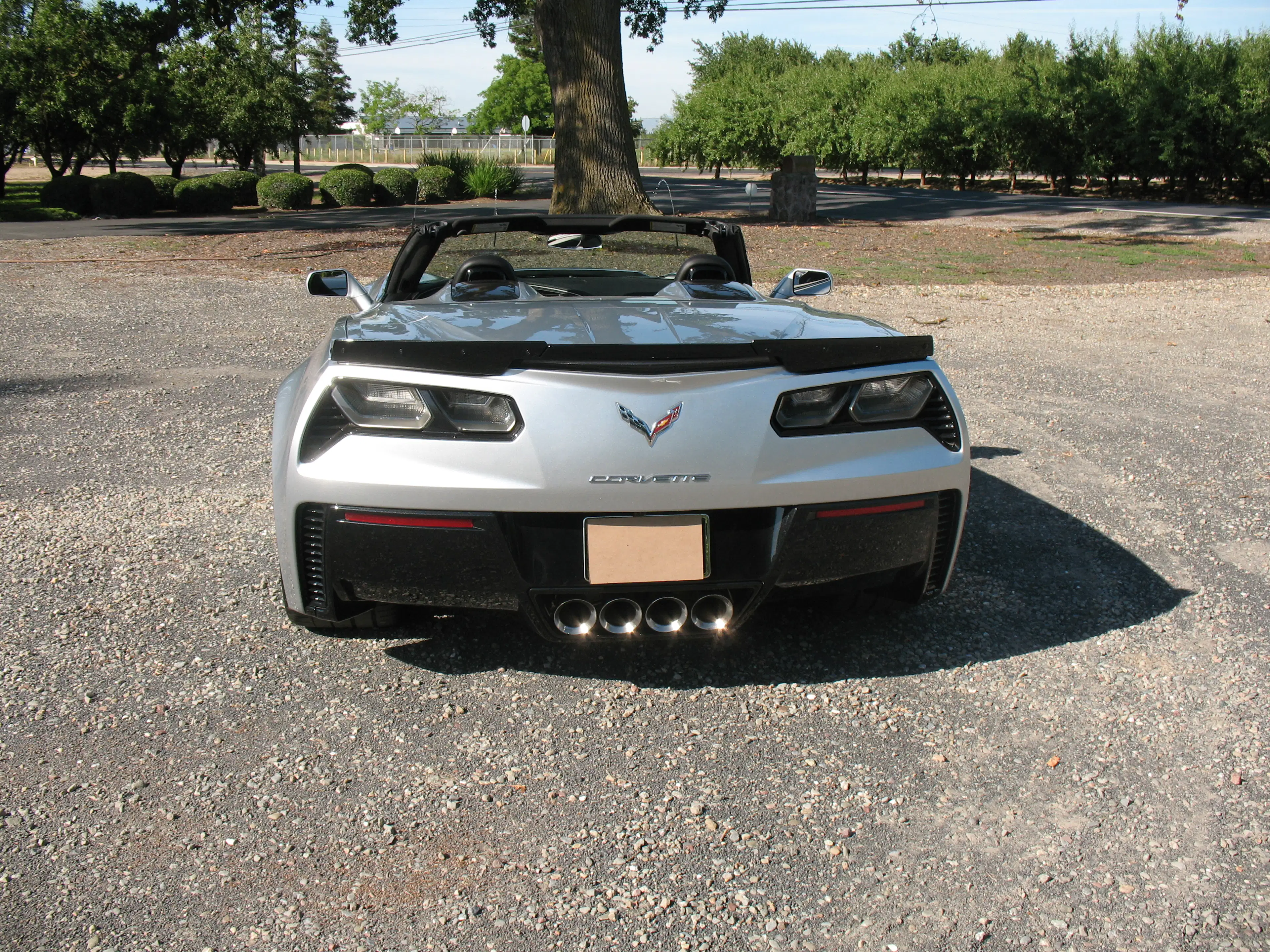 Gallery photo 5