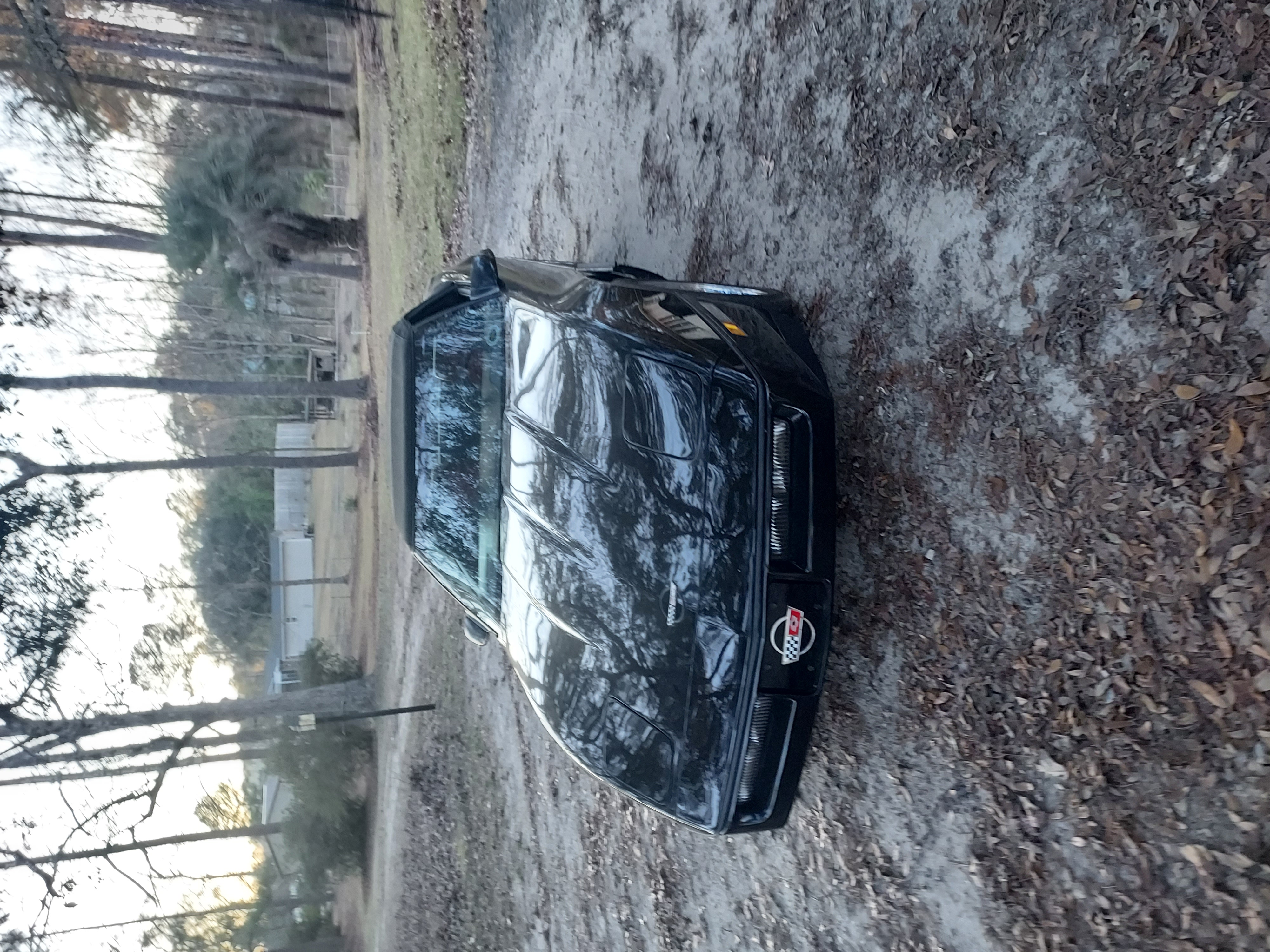 Gallery photo 6