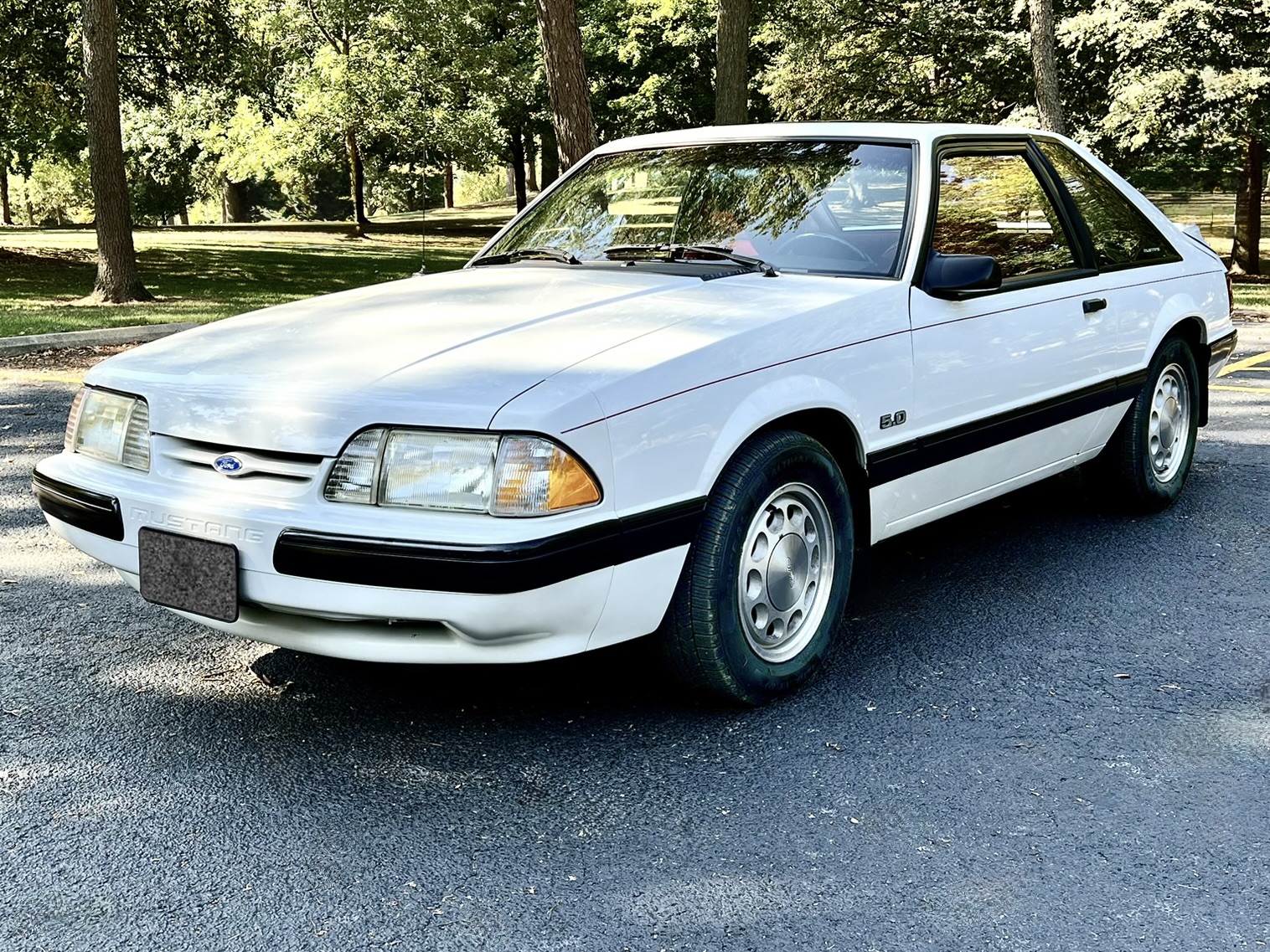 28-Years-Owned 1990 Ford Mustang 5.0 LX Hatchback