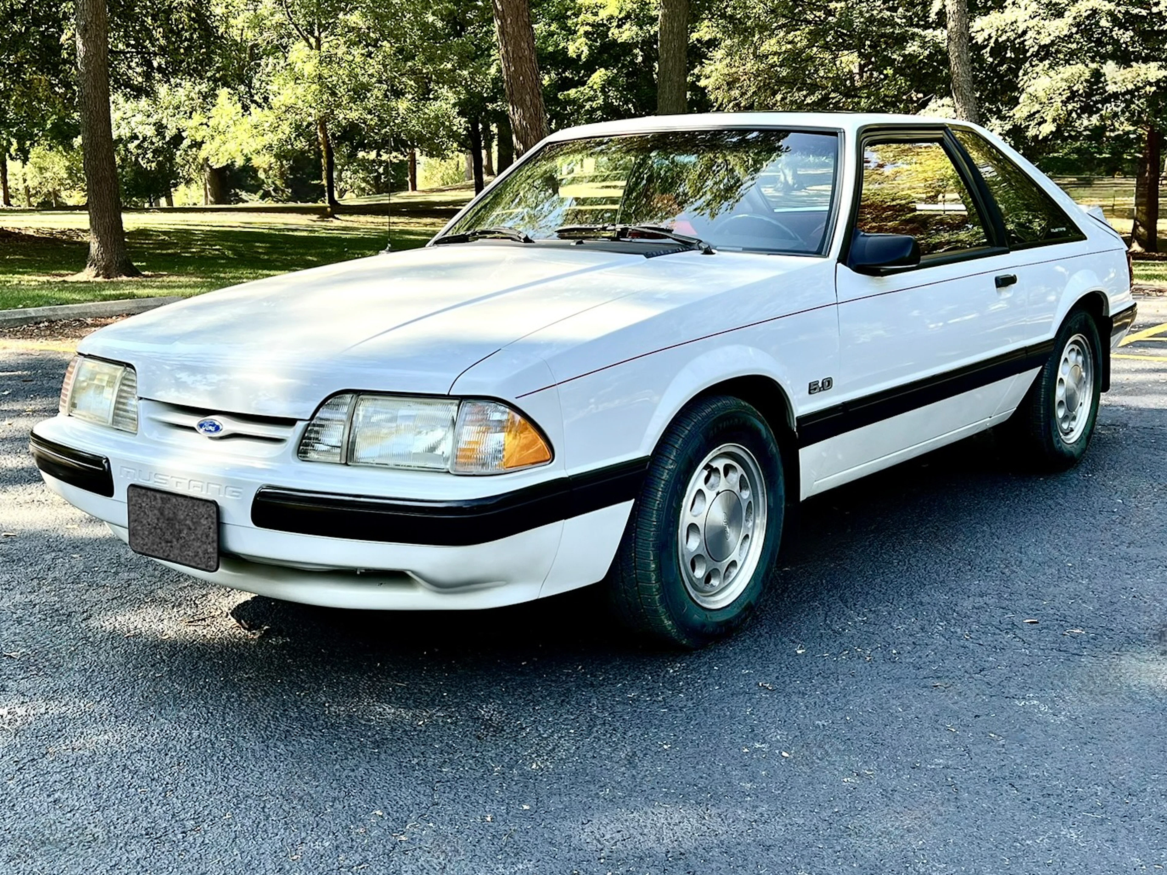 28-Years-Owned 1990 Ford Mustang 5.0 LX Hatchback