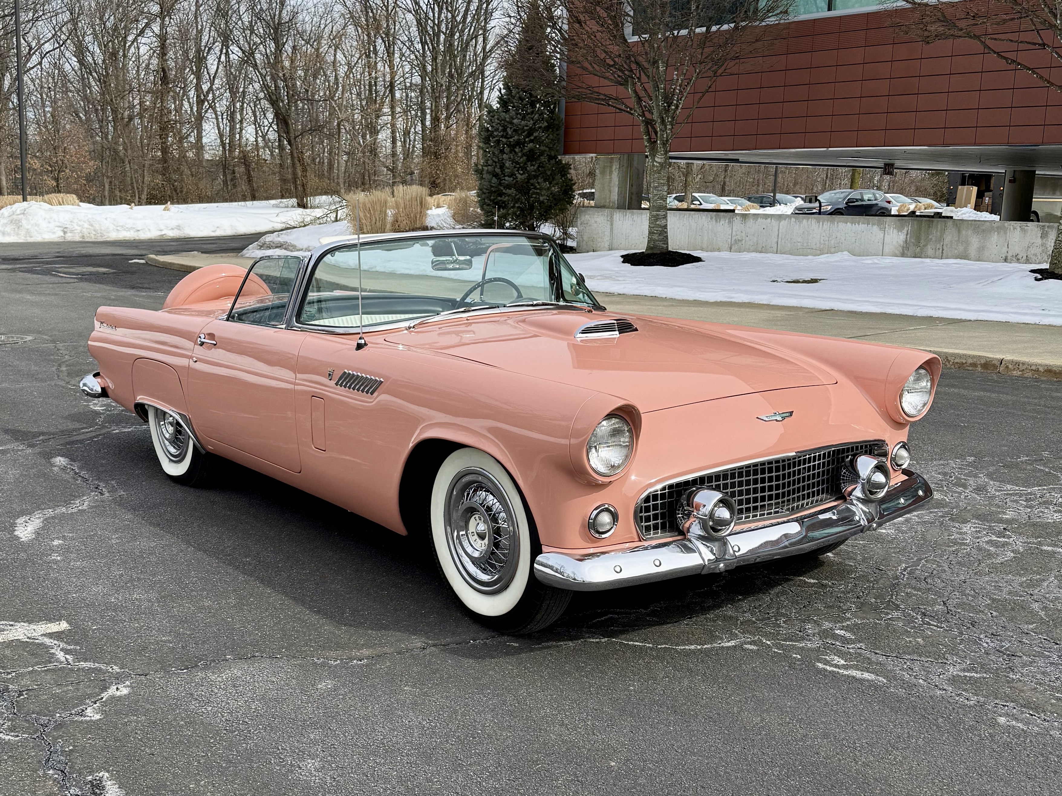 1956 Ford Thunderbird