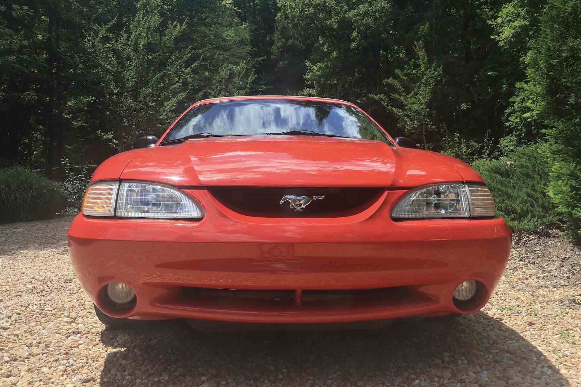 Gallery photo 1