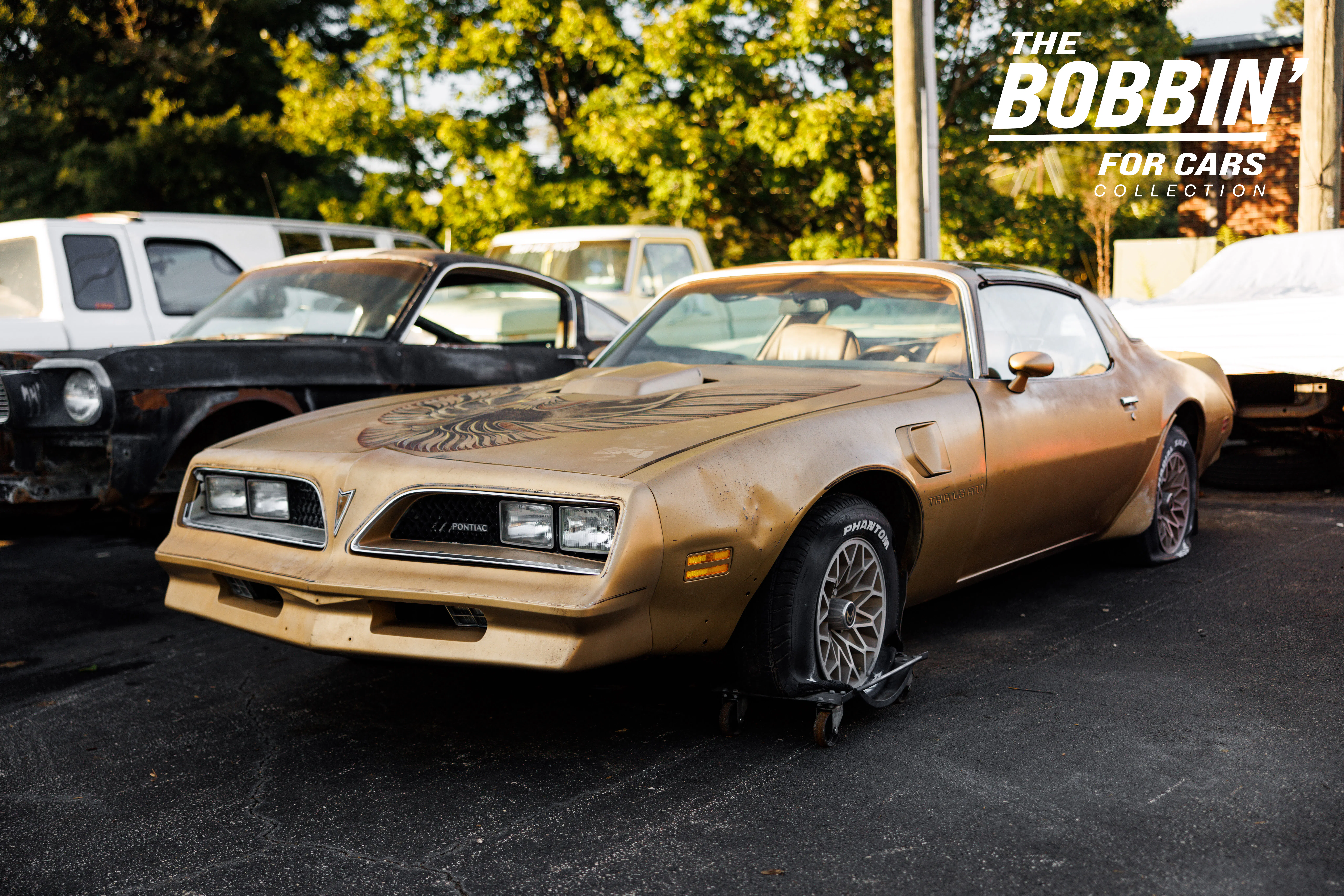 1978 Pontiac Firebird Trans Am Project