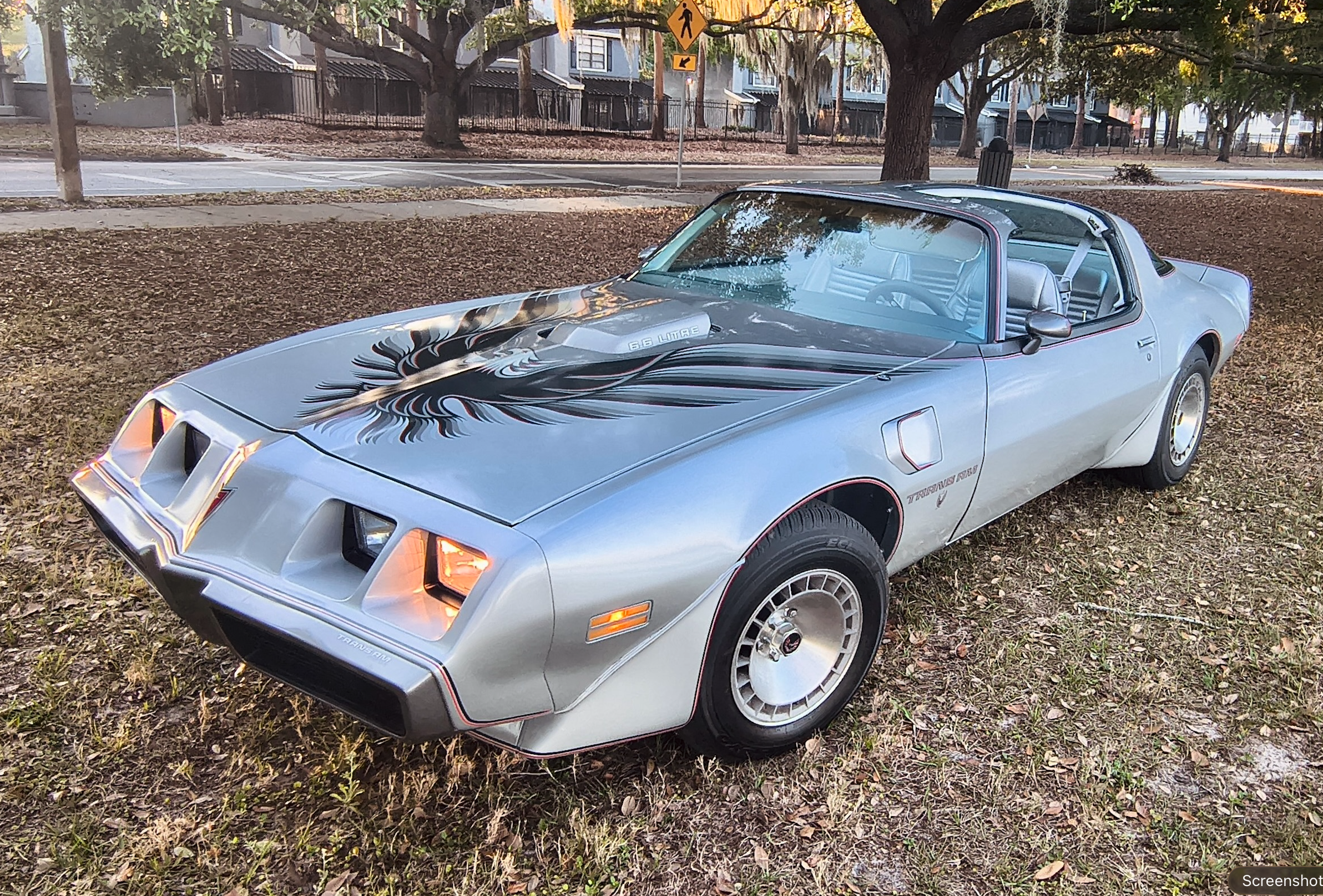 1979 Pontiac Firebird Trans Am 10th Anniversary