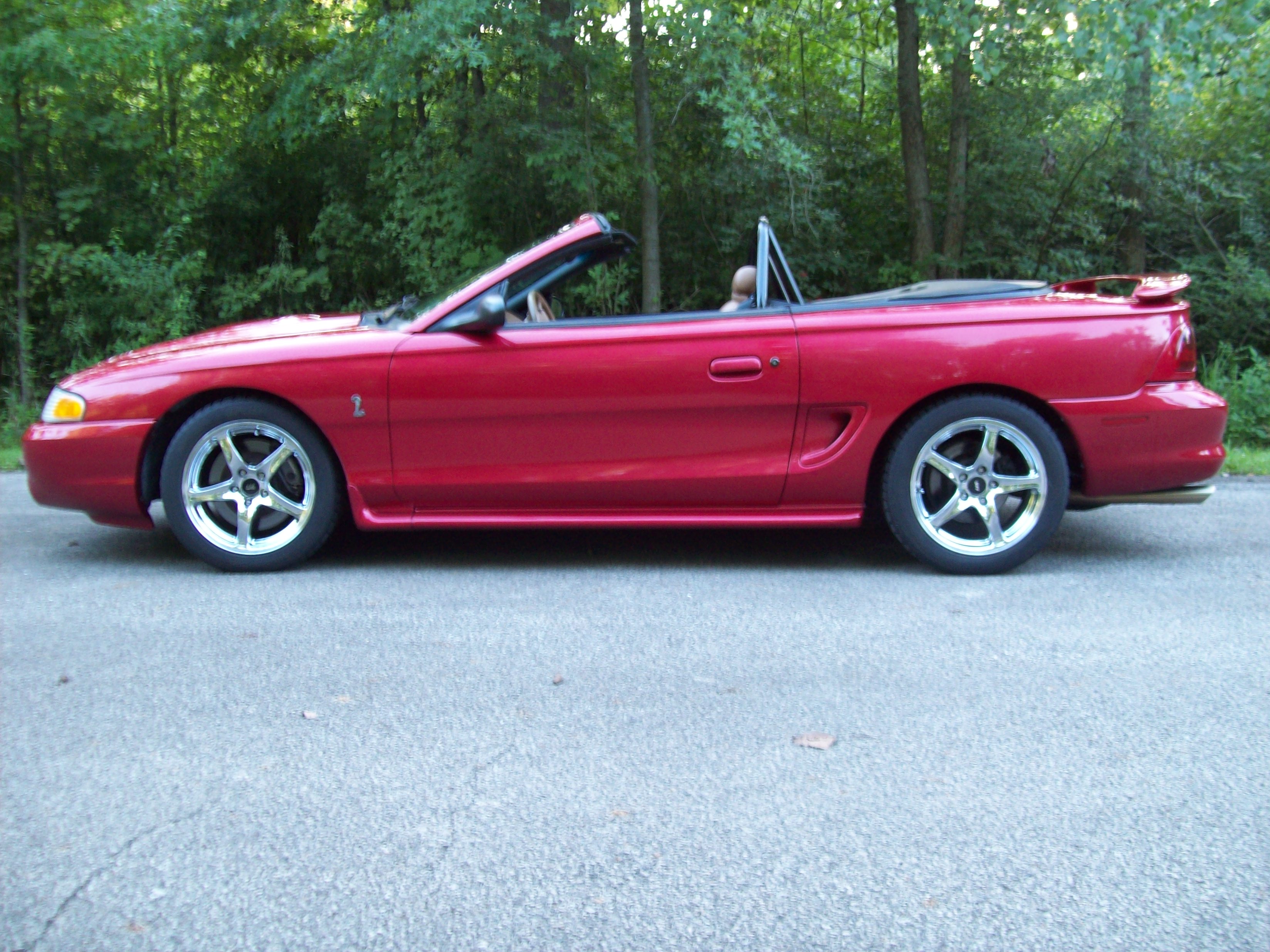 Gallery photo 5