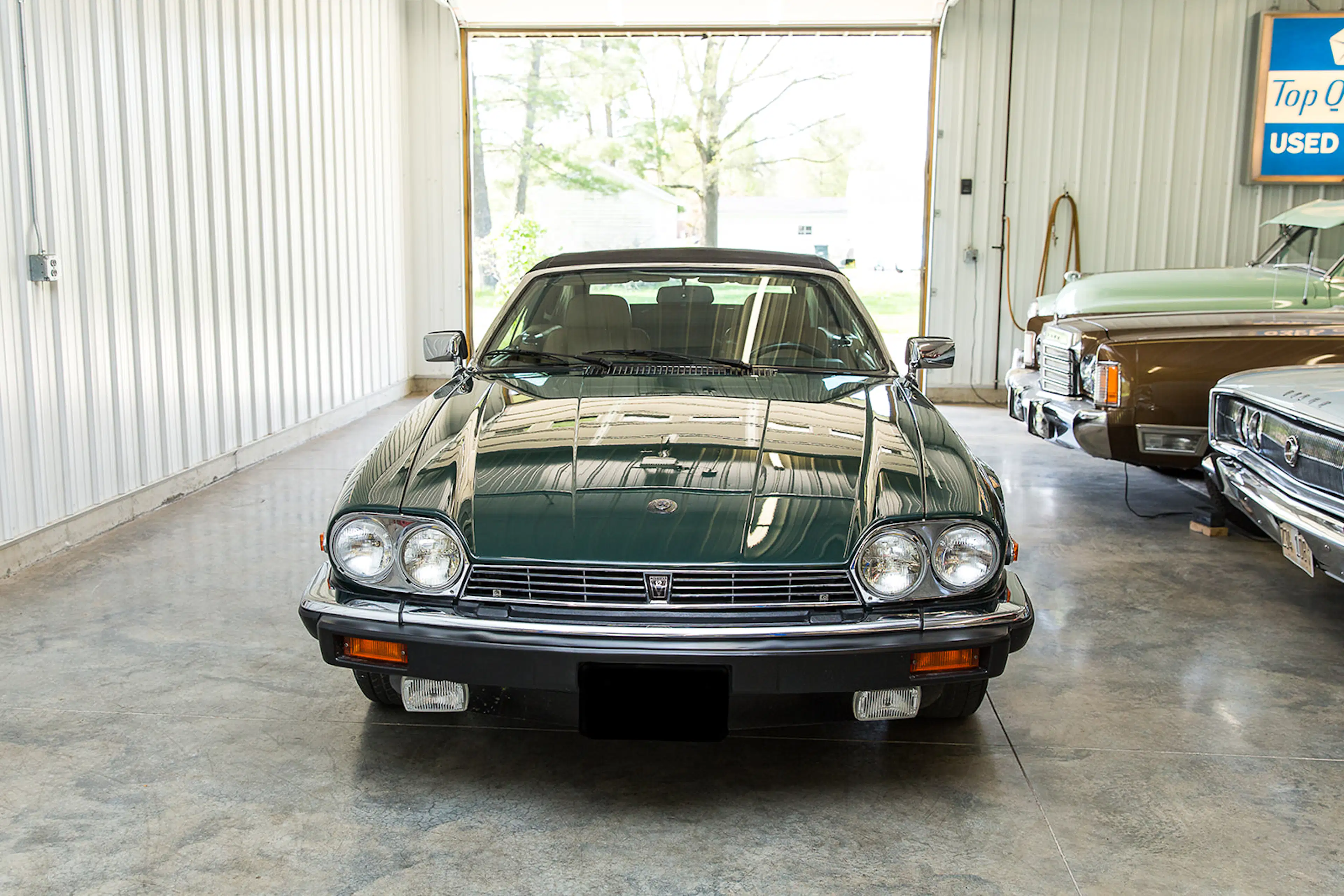 Gallery photo 5