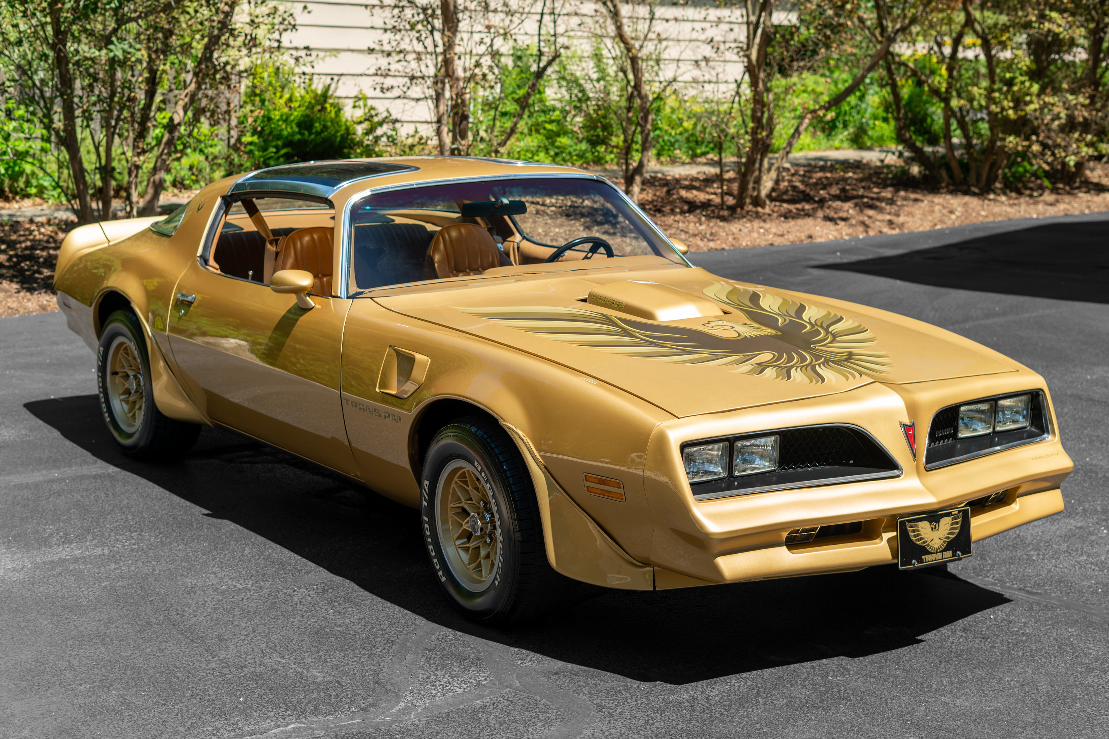 1978 Pontiac Firebird Trans Am W72 WS6 4-Speed