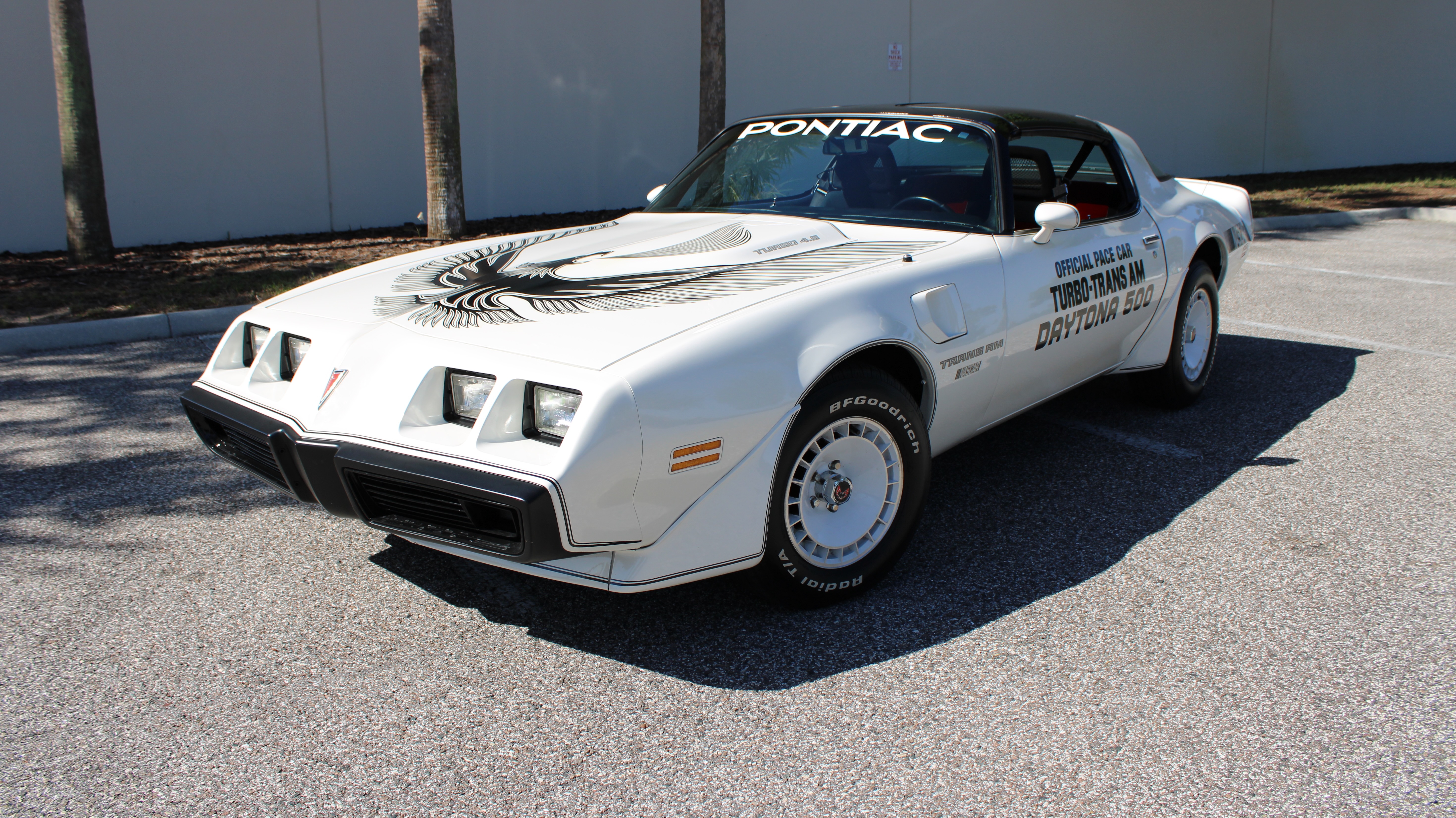 1981 Pontiac Firebird Turbo Trans Am Daytona Pace Car