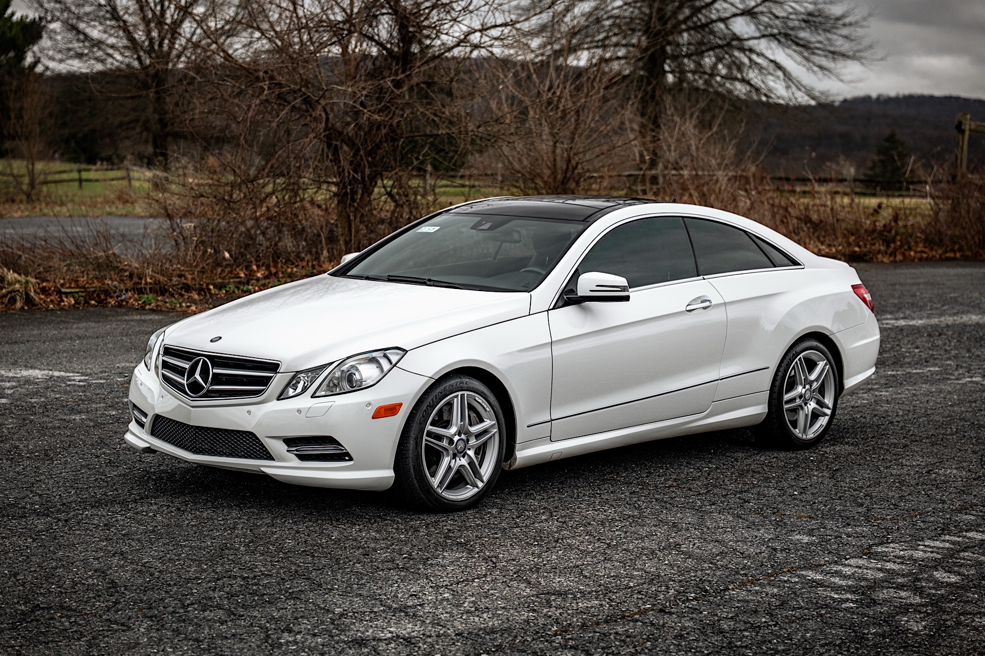 Gallery photo 4