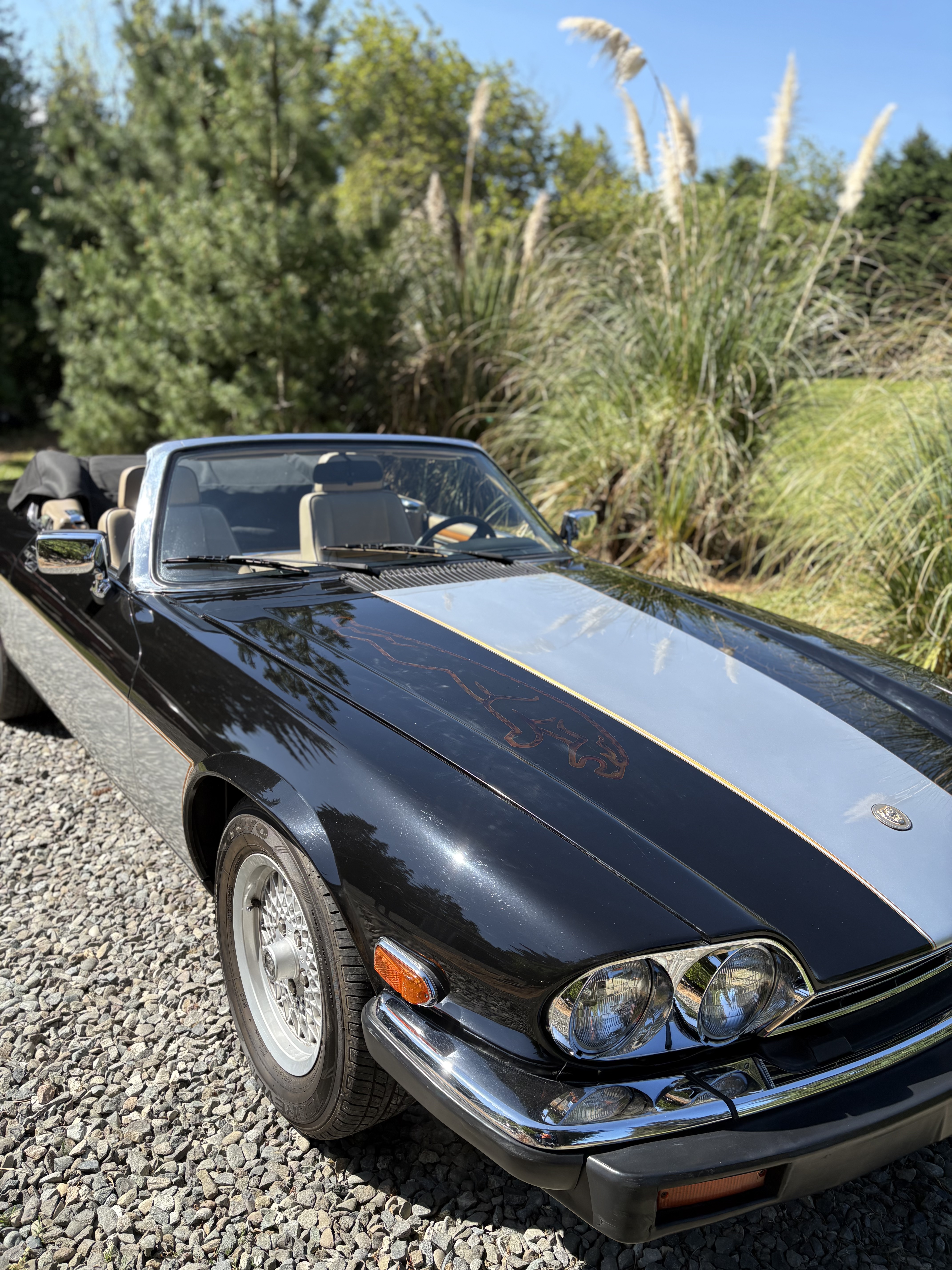 1990 Jaguar XJ-S Classic Collection V12 Convertible for sale