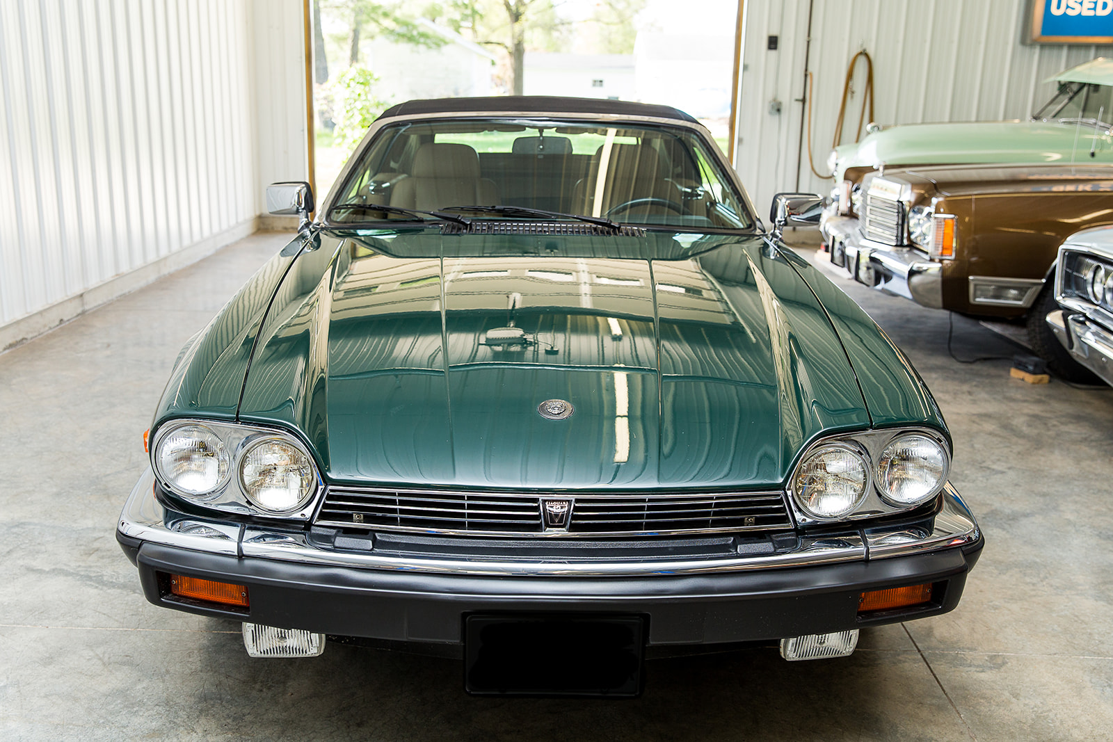Gallery photo 4