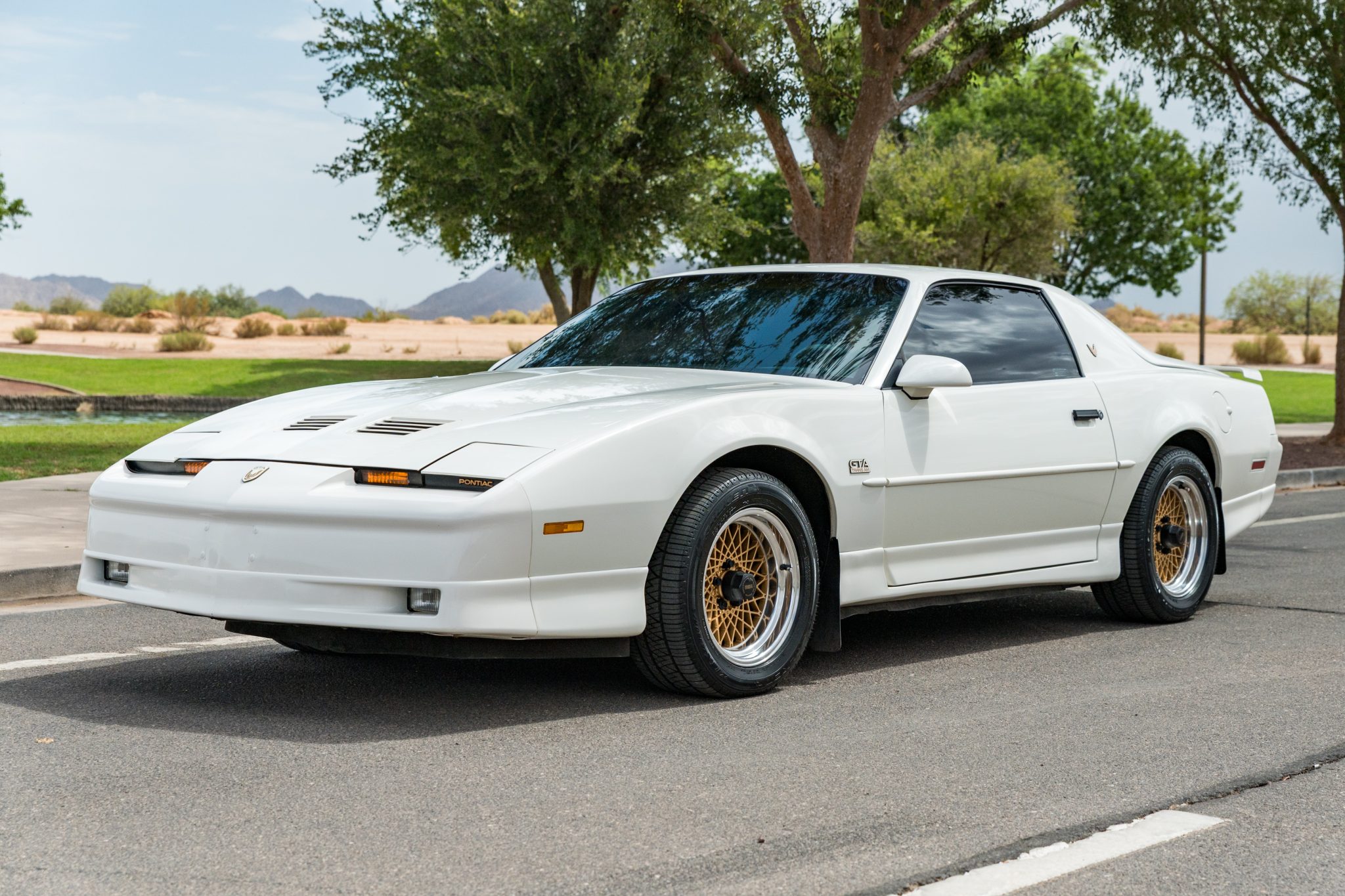 44k-Mile 1988 Pontiac Firebird Trans Am GTA Notchback