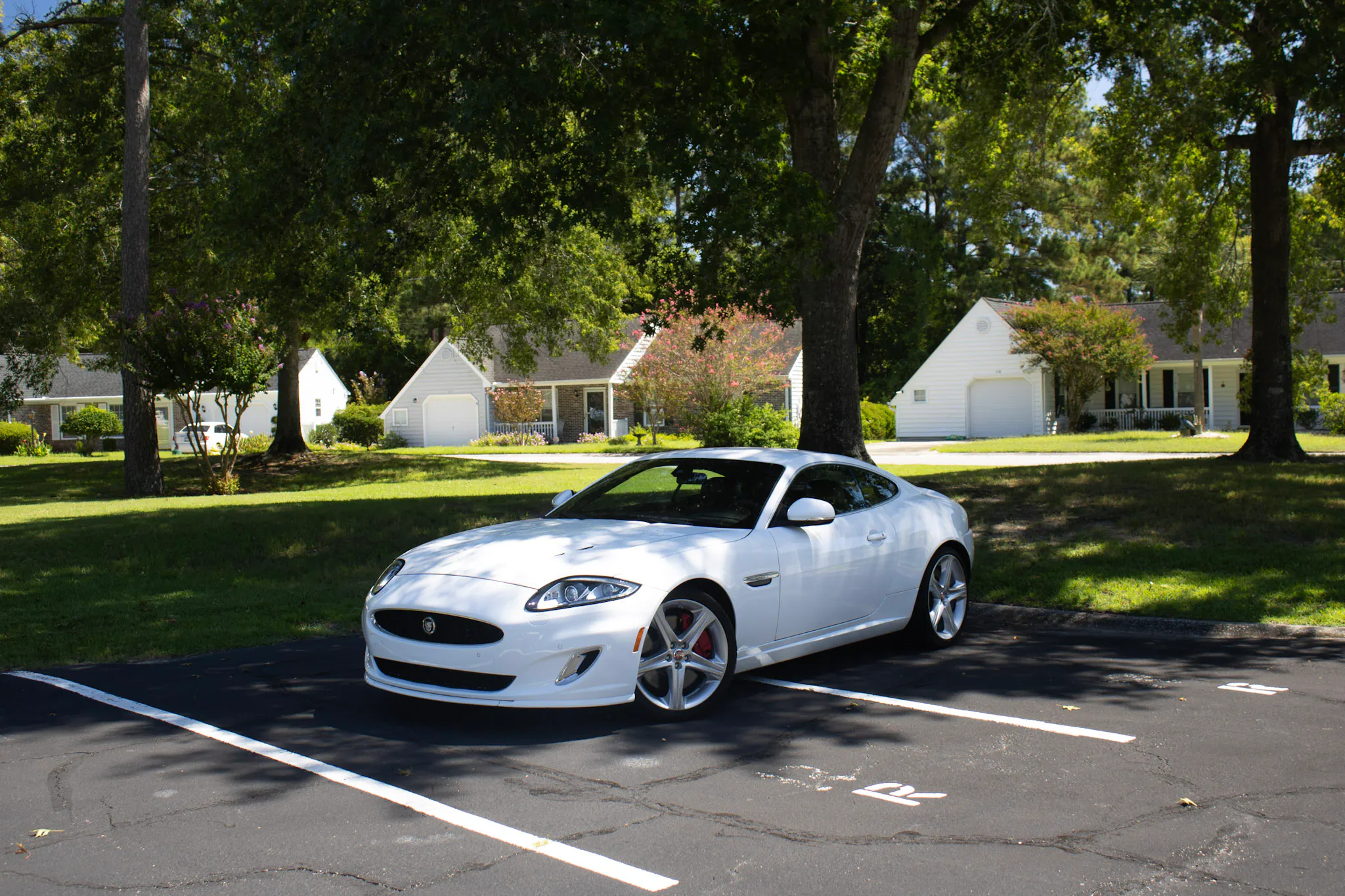 Gallery photo 2