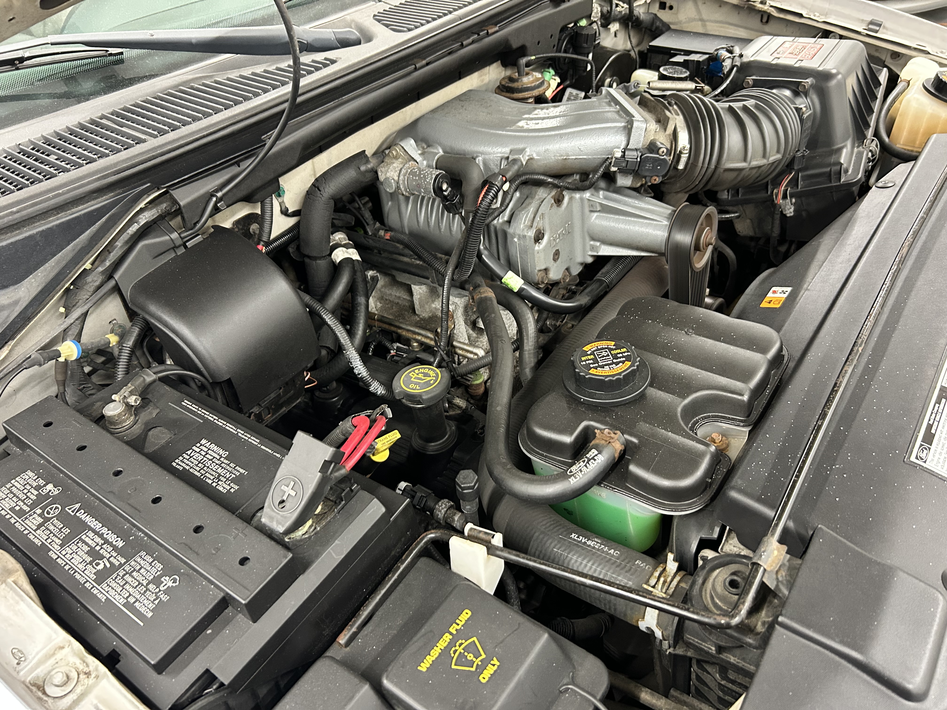 Photo Nov 20 2025, 1 29 52 PM