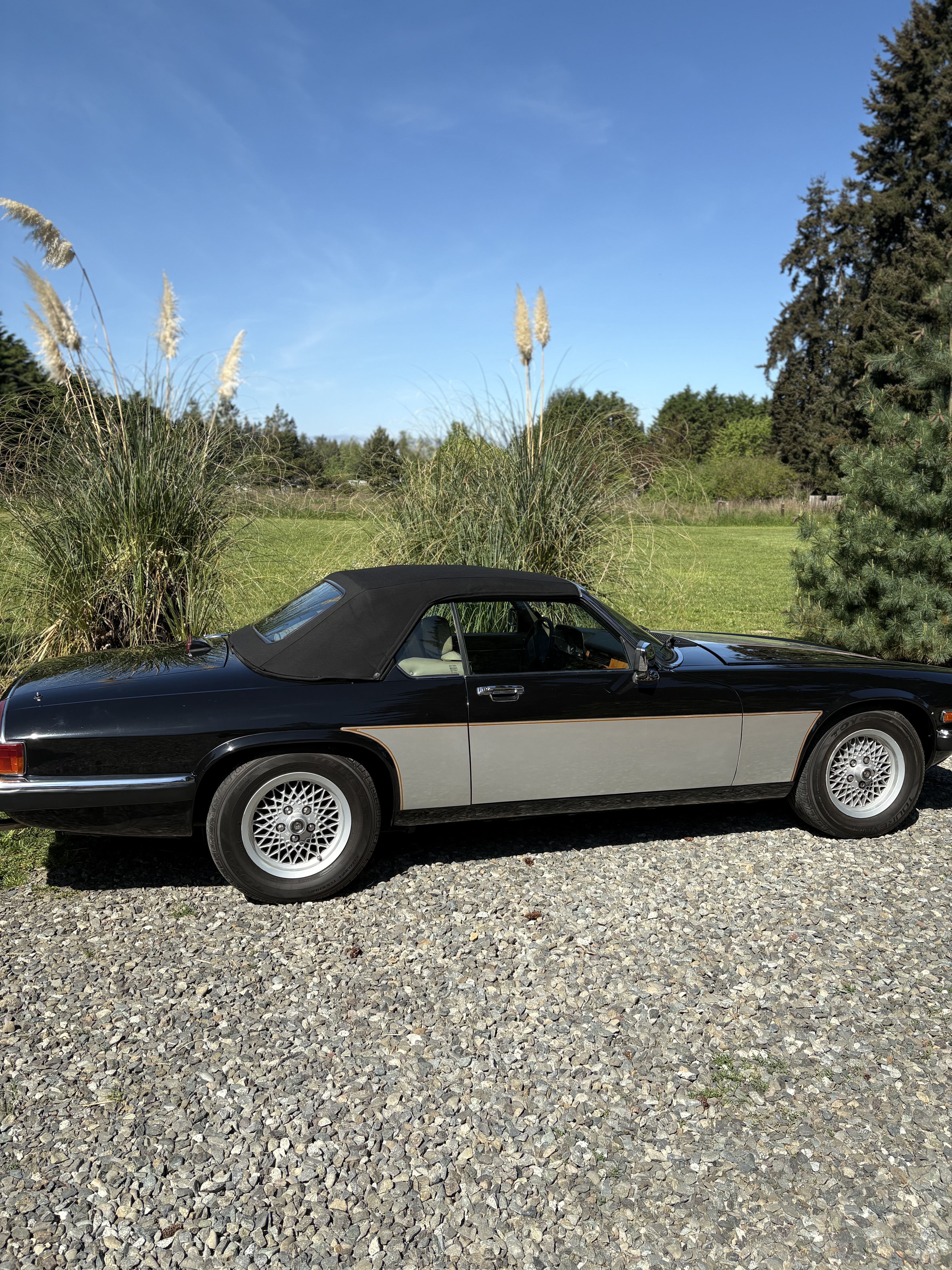1990 Jaguar XJ-S Classic Collection V12 Convertible for sale