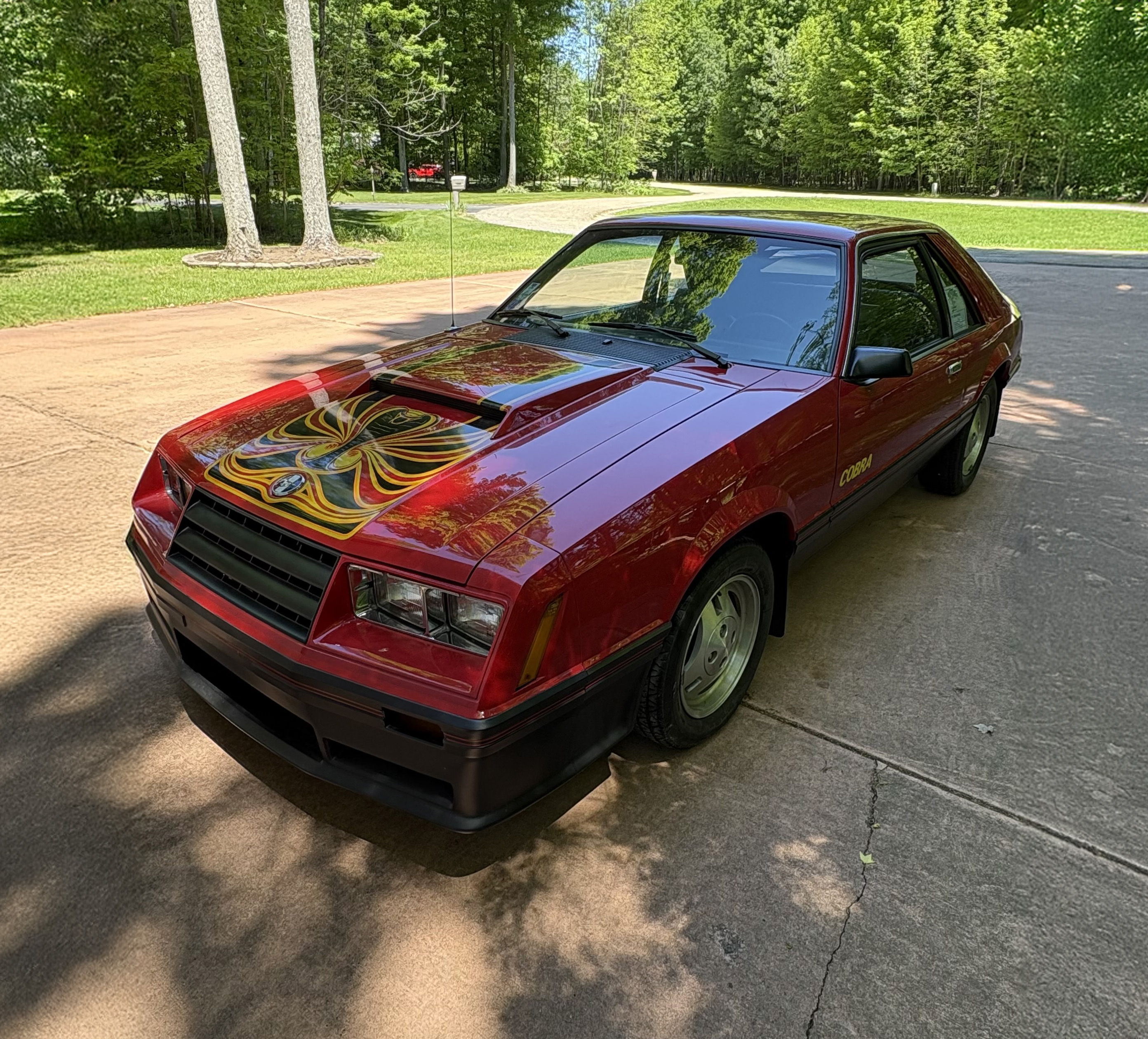 1979 Ford Mustang Cobra