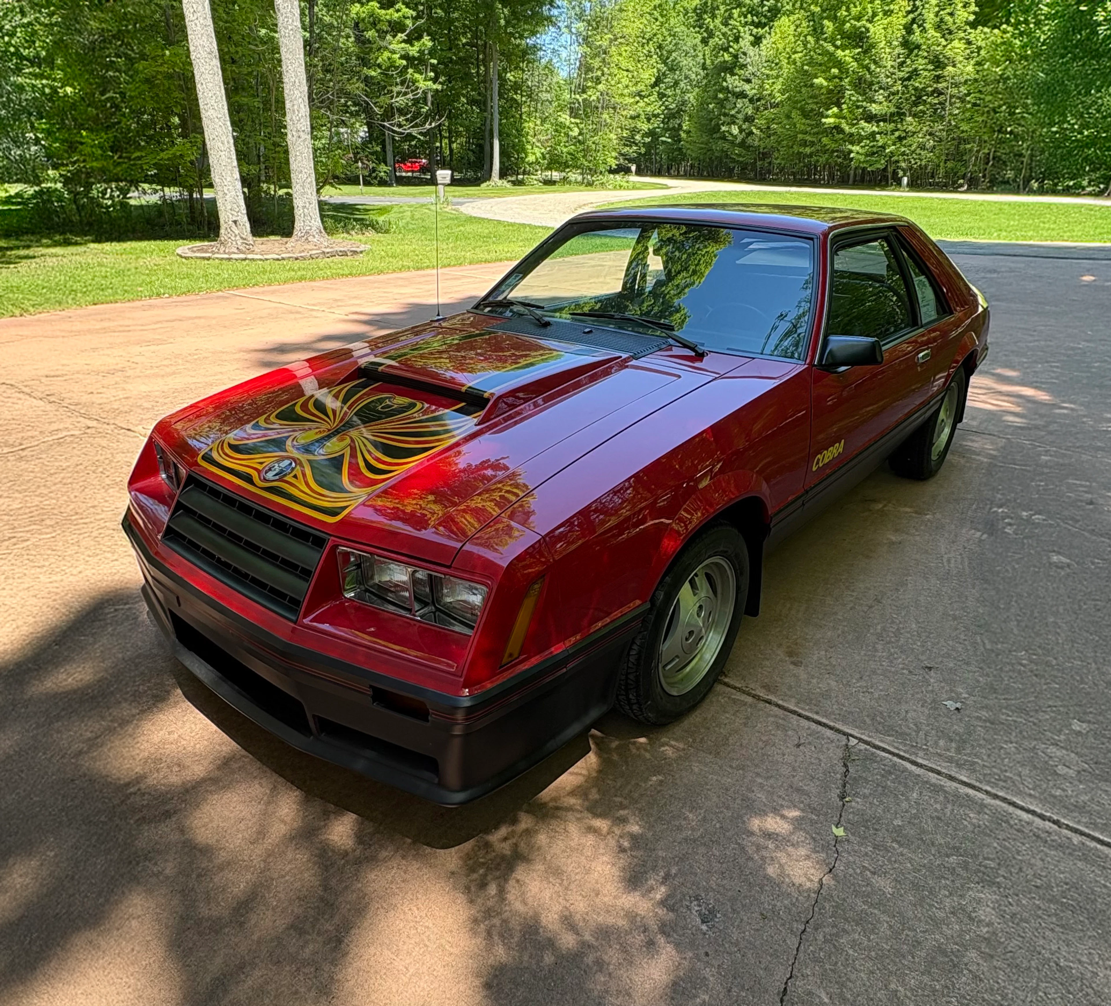 1979 Ford Mustang Cobra